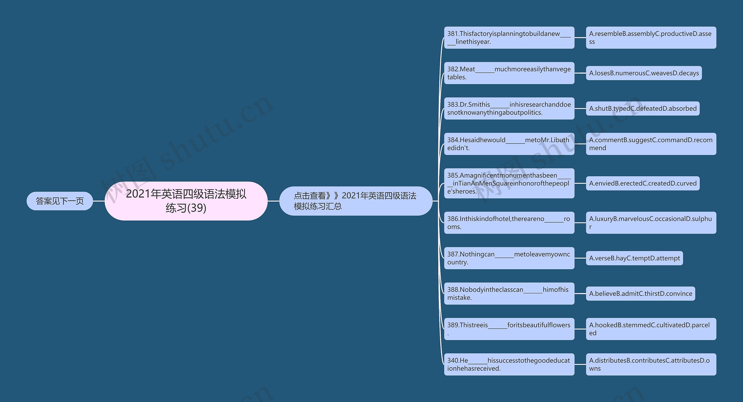 2021年英语四级语法模拟练习(39)思维导图