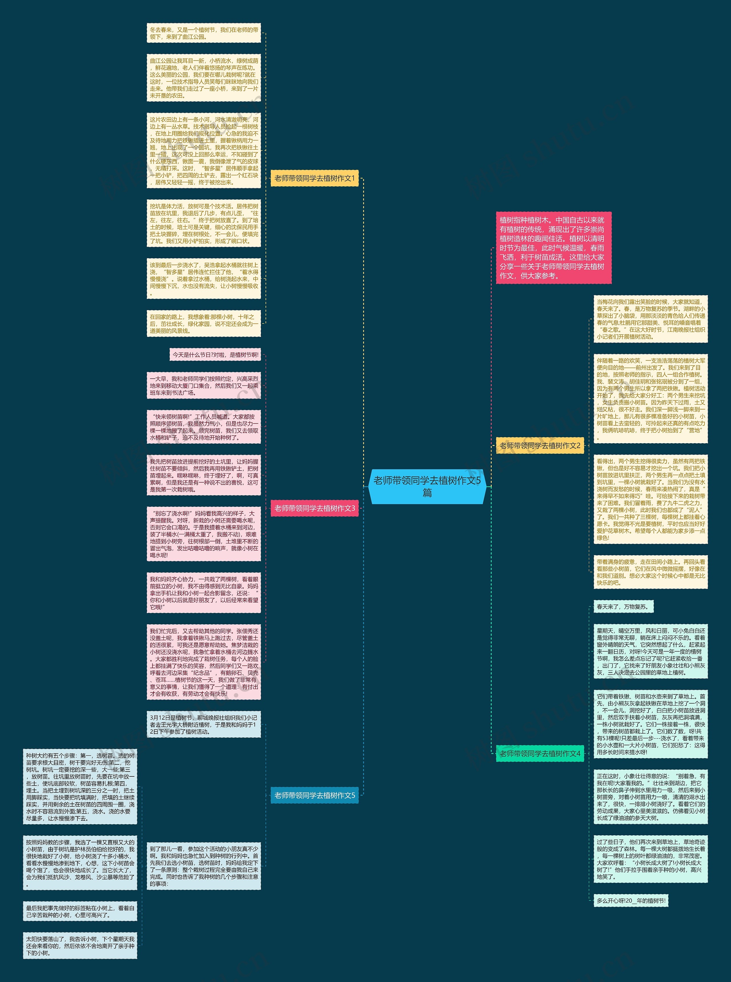 老师带领同学去植树作文5篇思维导图