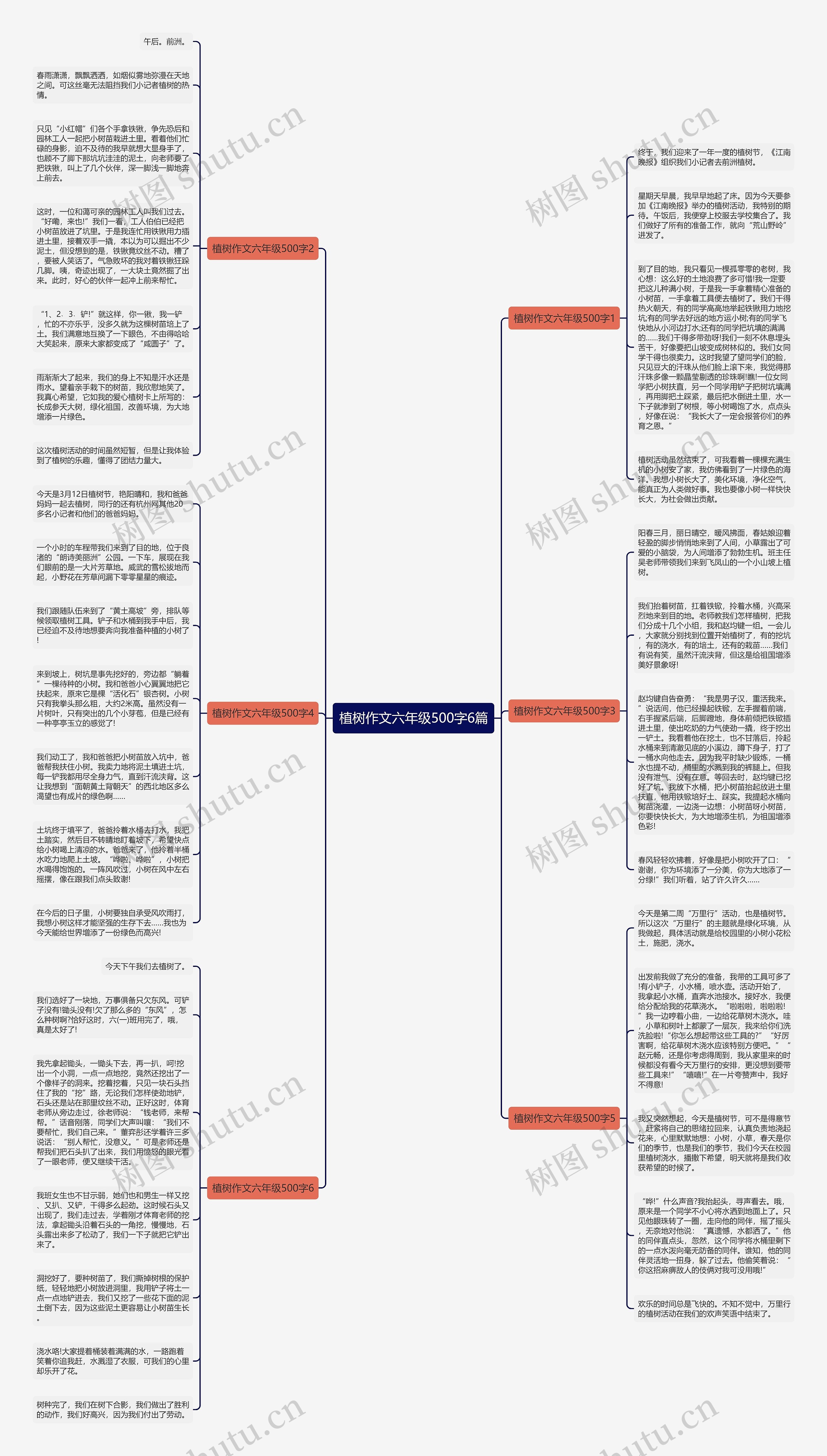 植树作文六年级500字6篇思维导图