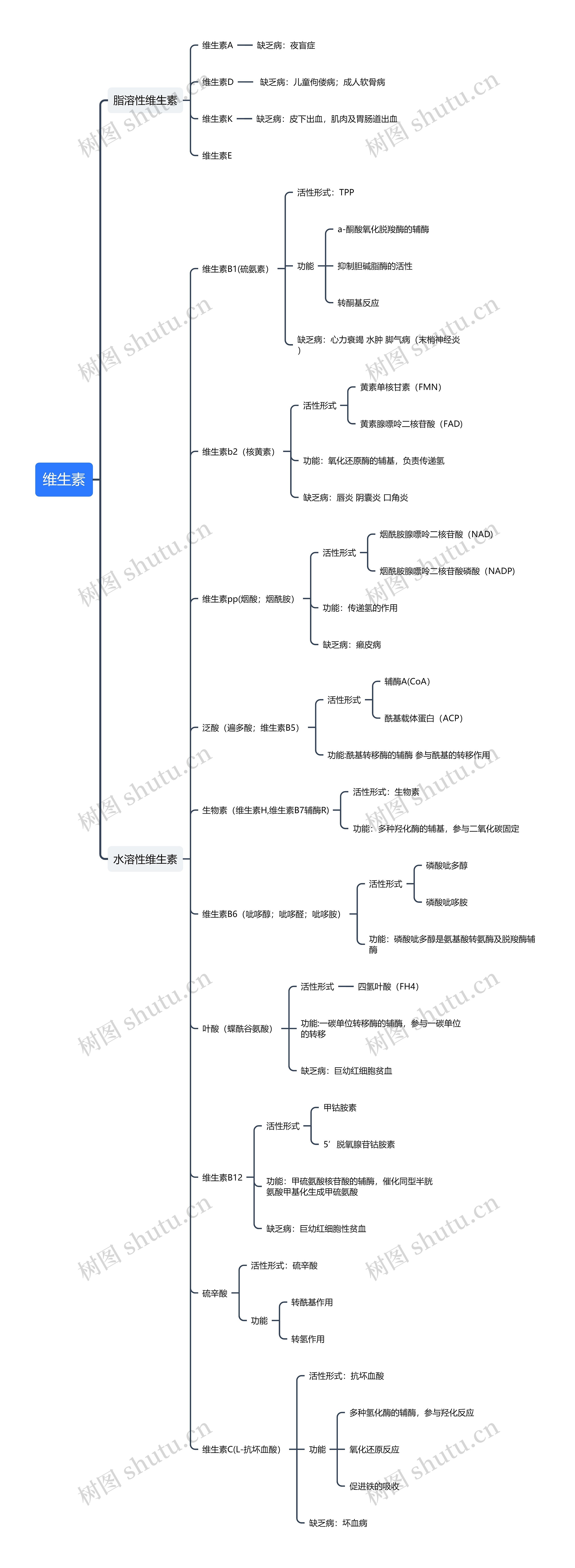 维生素思维导图高清图 维生素思维导图