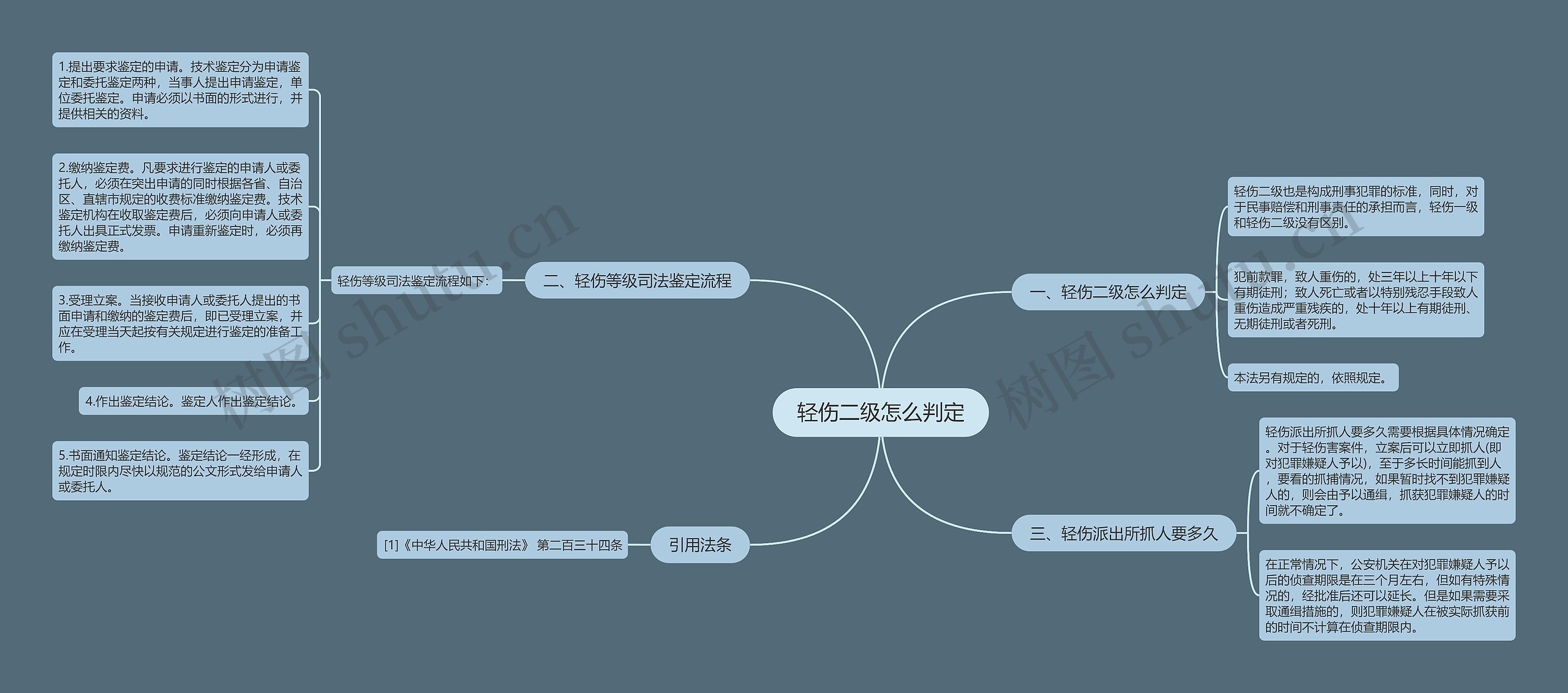 轻伤二级怎么判定思维导图