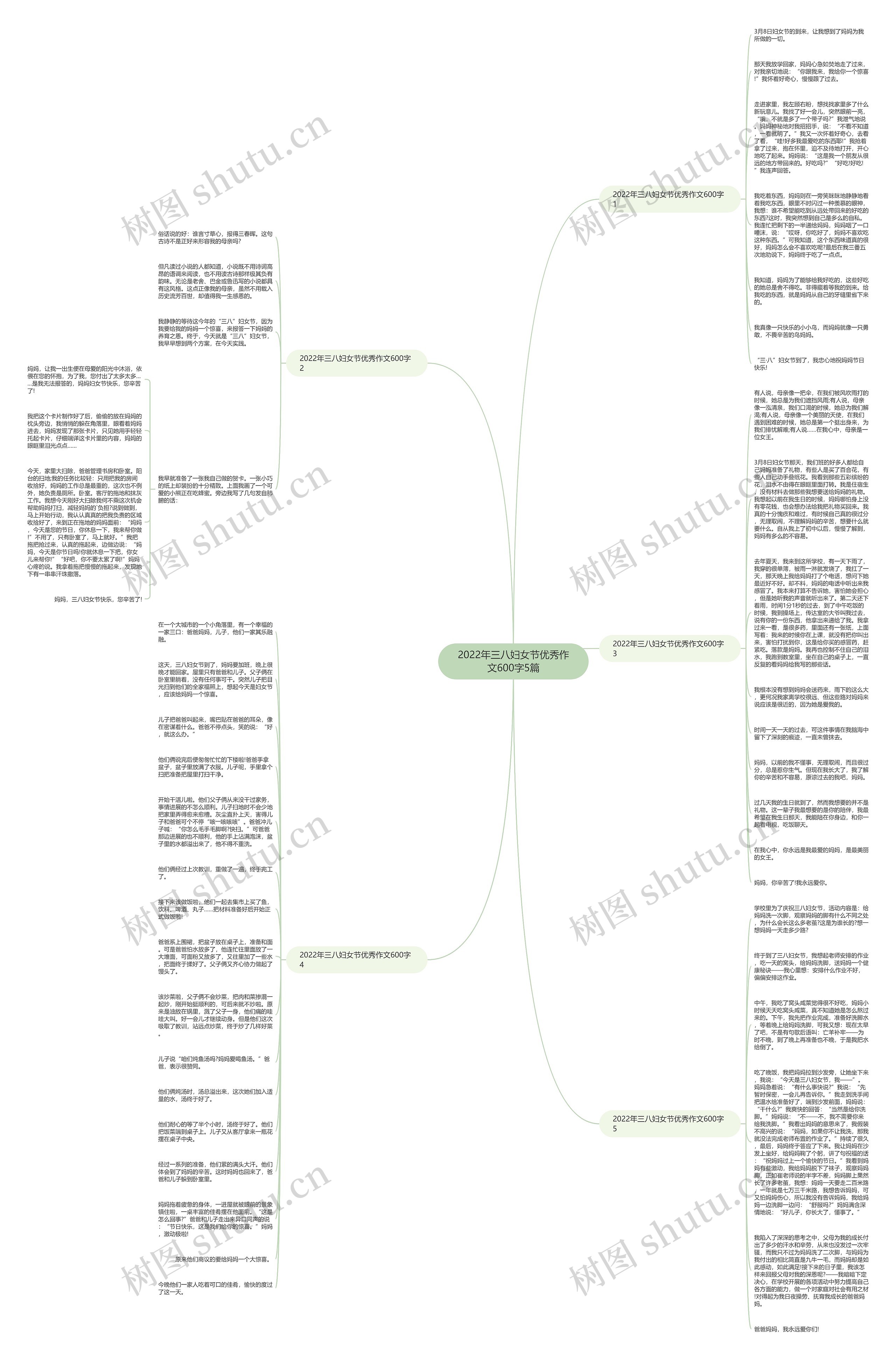 2022年三八妇女节优秀作文600字5篇思维导图