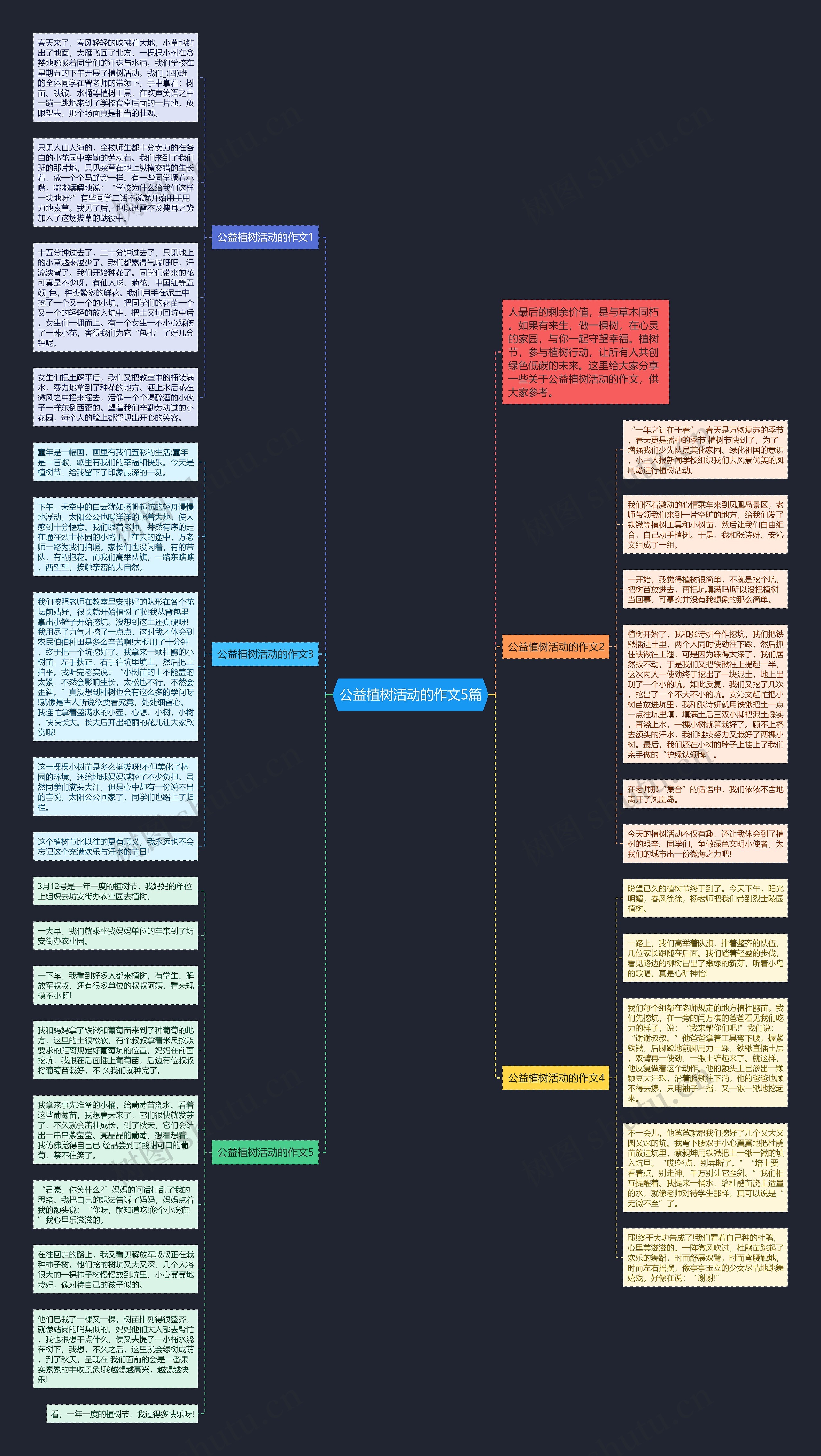公益植树活动的作文5篇思维导图