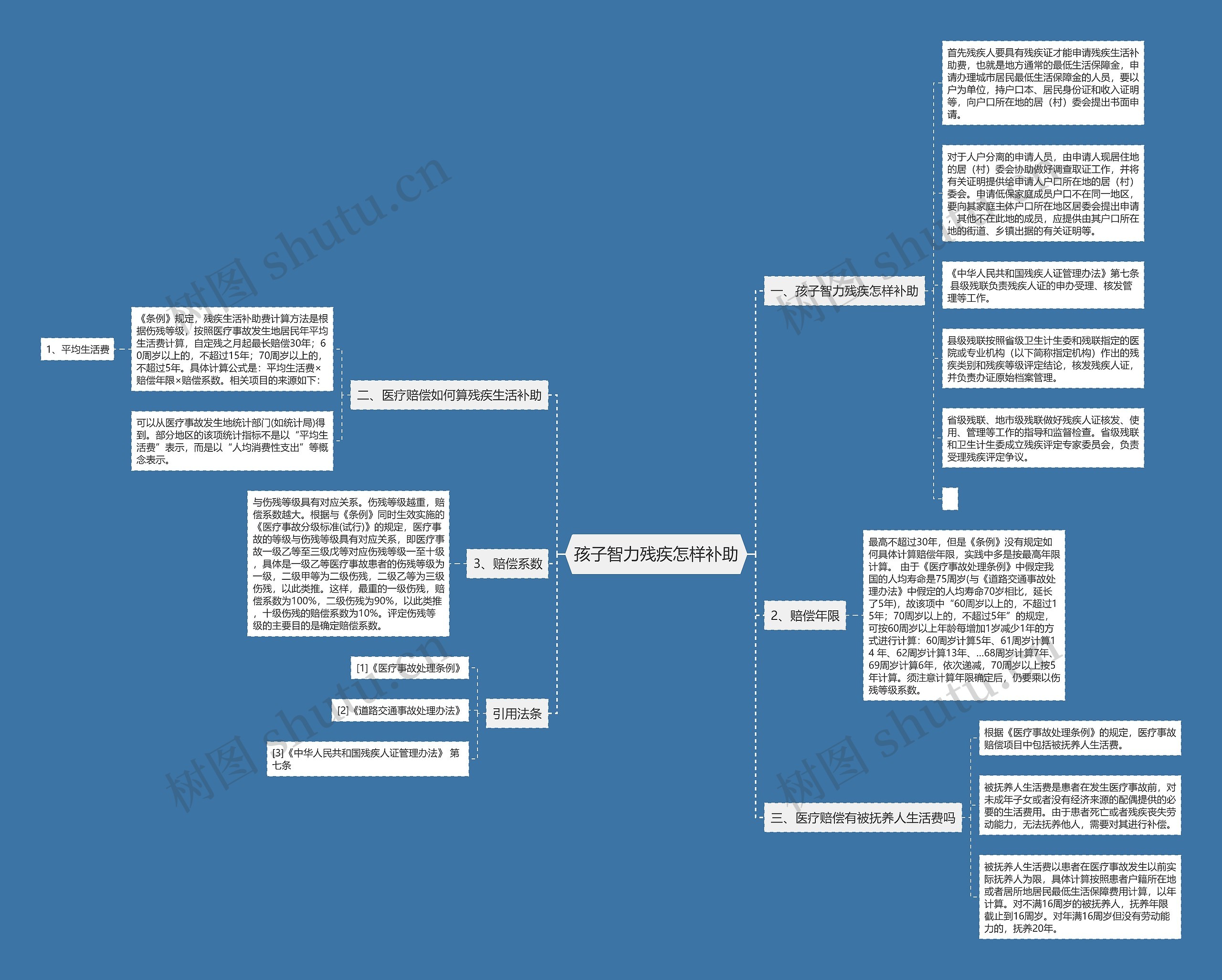孩子智力残疾怎样补助思维导图