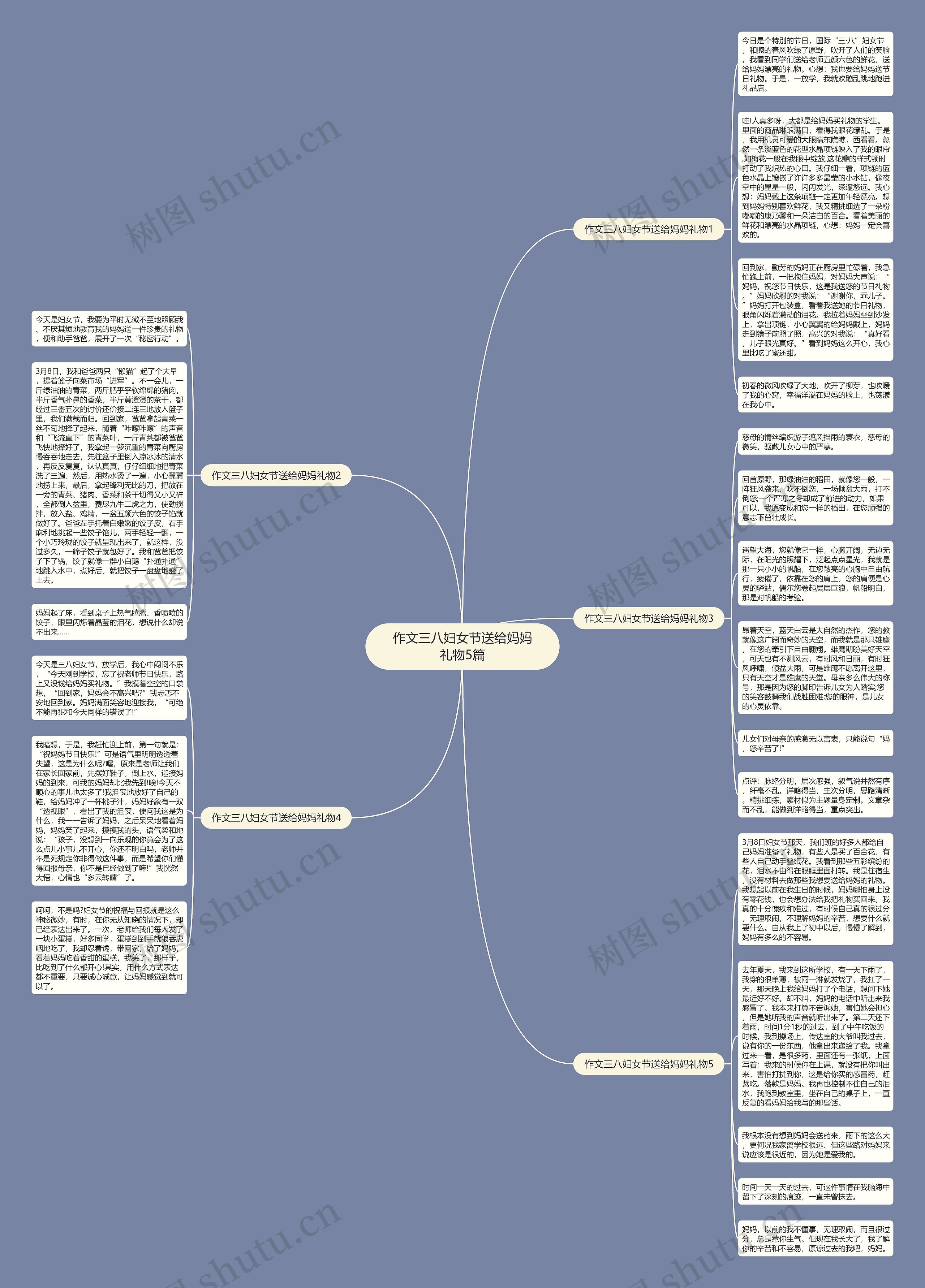 作文三八妇女节送给妈妈礼物5篇思维导图