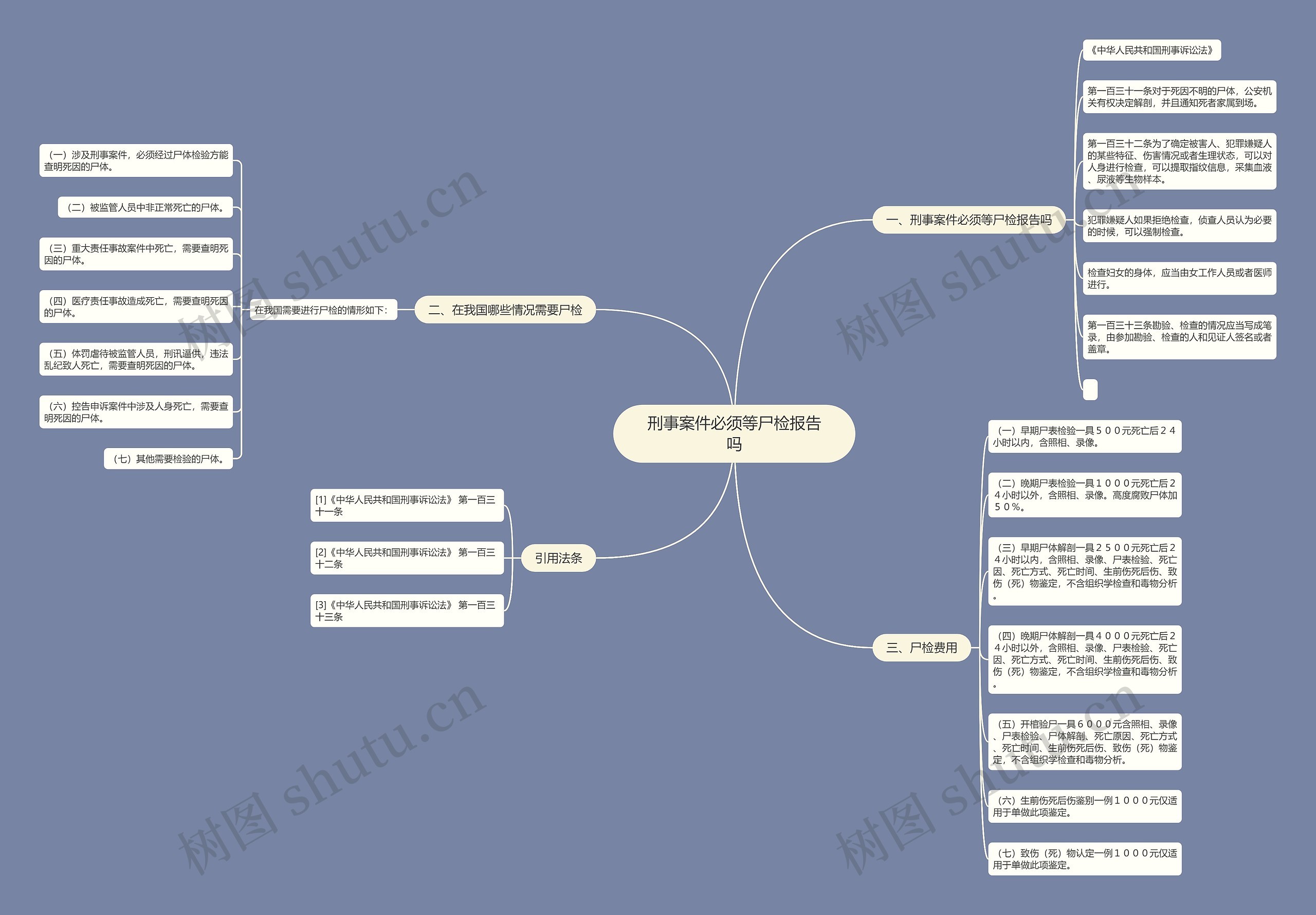 刑事案件必须等尸检报告吗思维导图