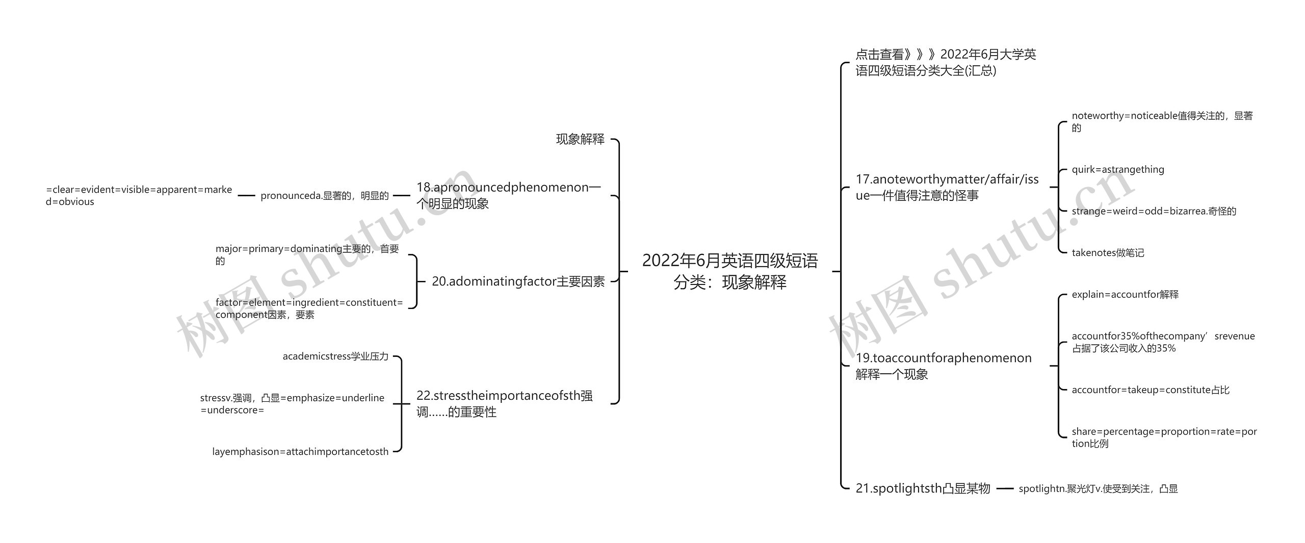 2022年6月英语四级短语分类：现象解释