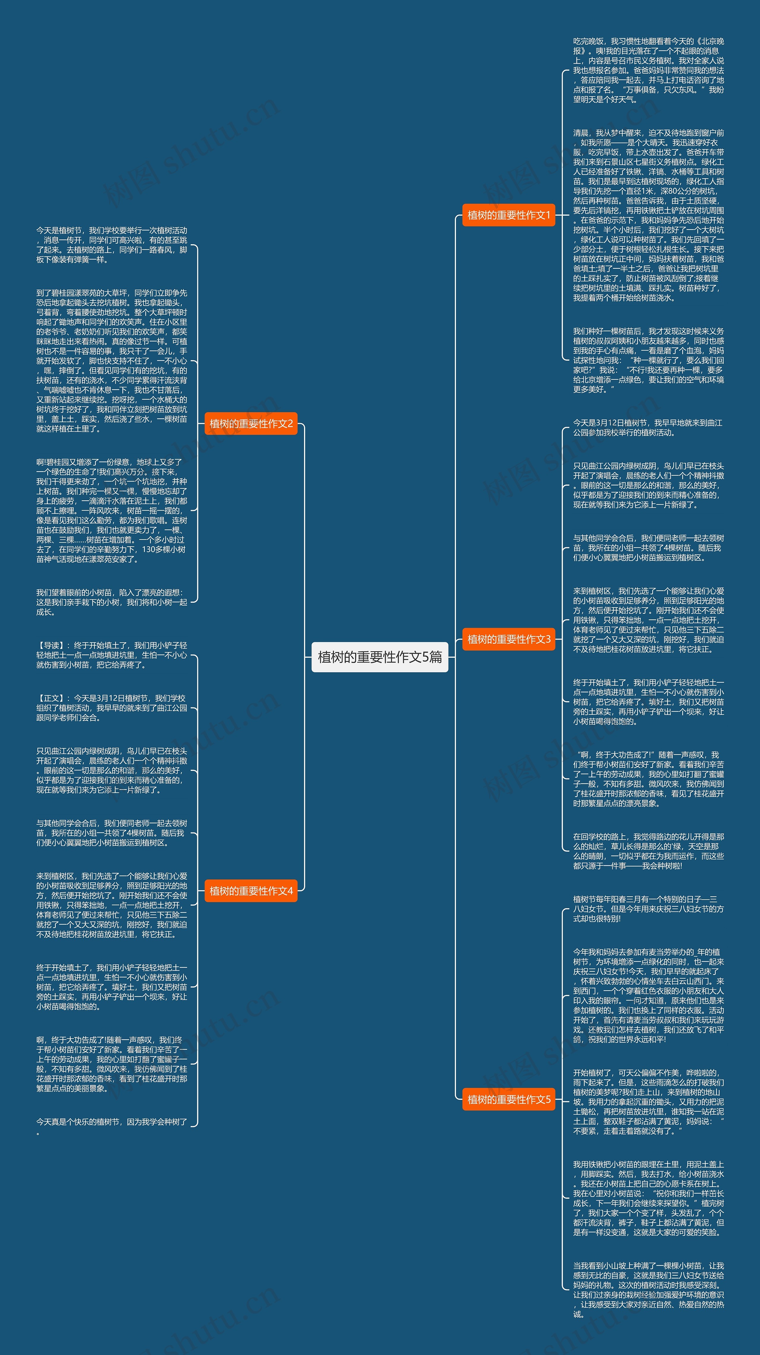 植树的重要性作文5篇思维导图
