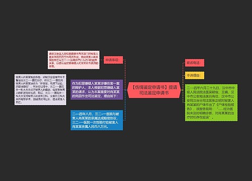 【伤情鉴定申请书】提请司法鉴定申请书