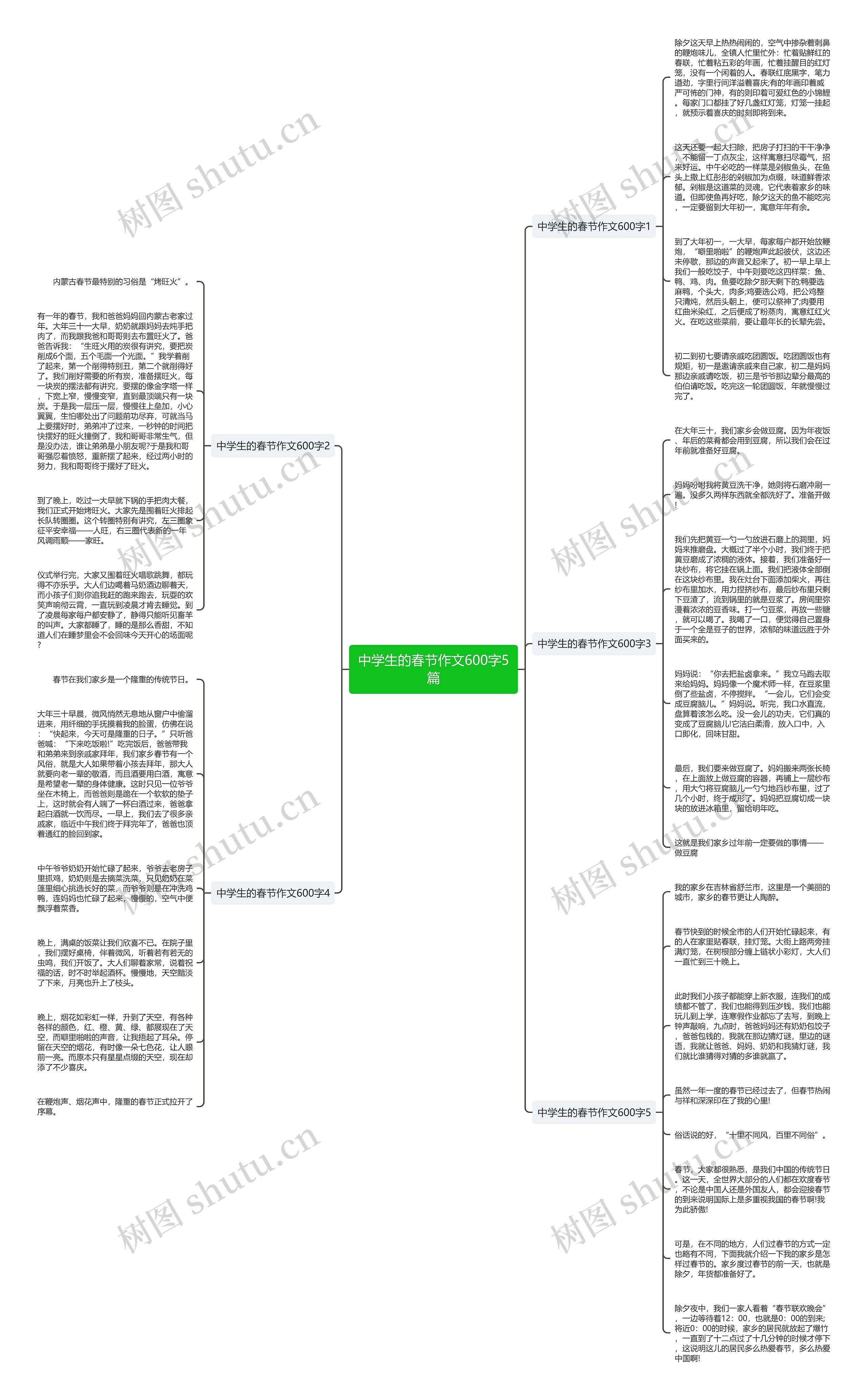 中学生的春节作文600字5篇思维导图