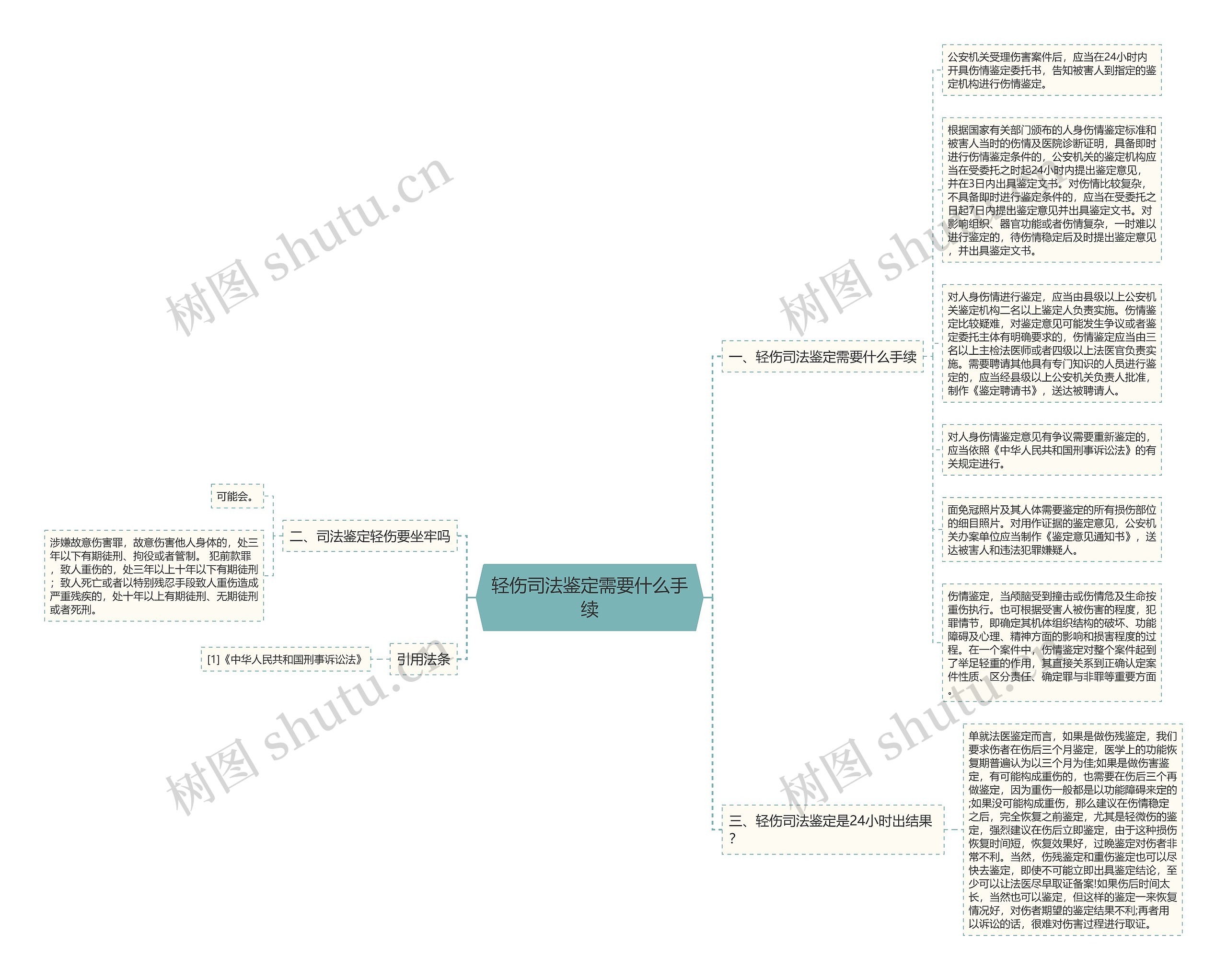 轻伤司法鉴定需要什么手续思维导图