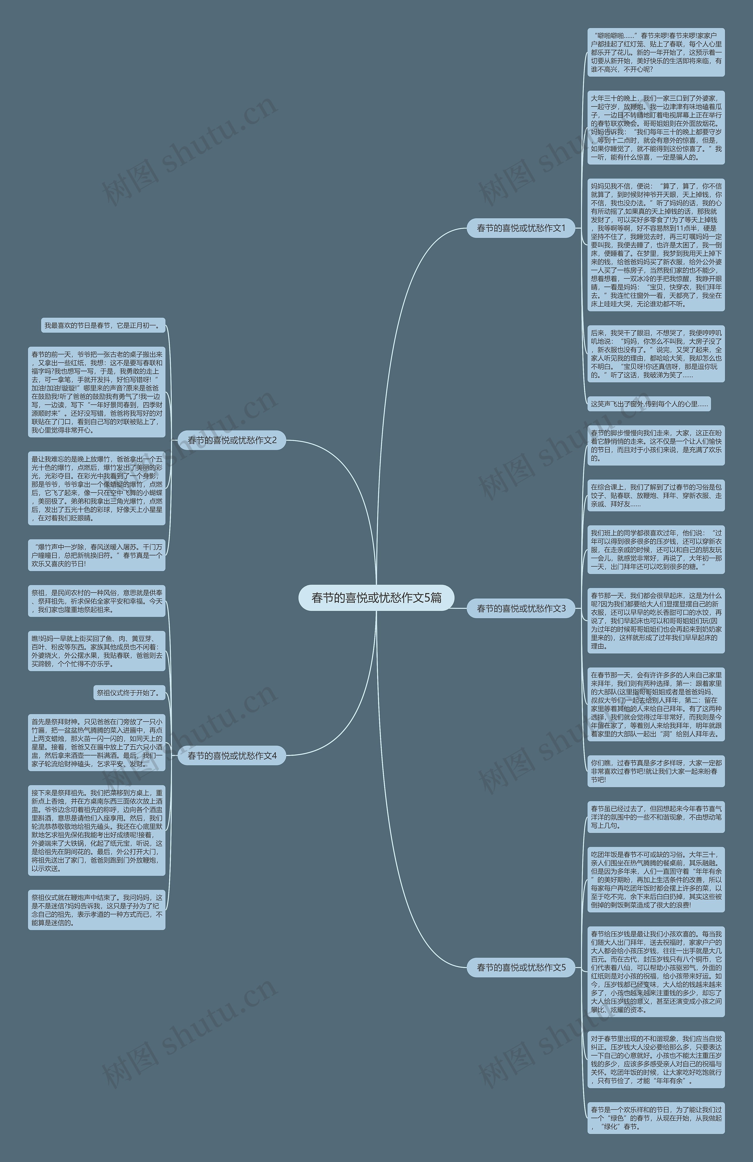 春节的喜悦或忧愁作文5篇思维导图