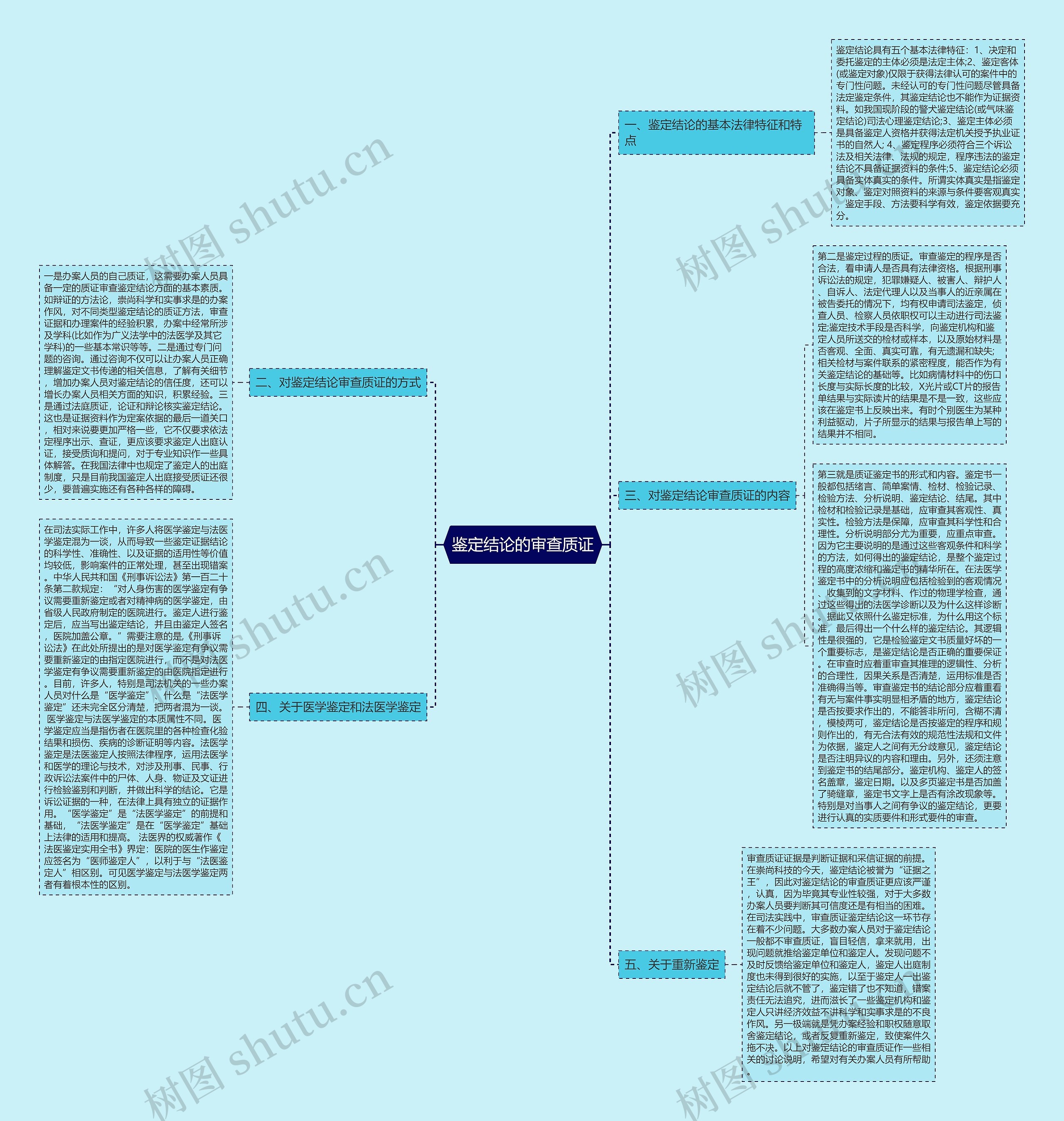 鉴定结论的审查质证思维导图