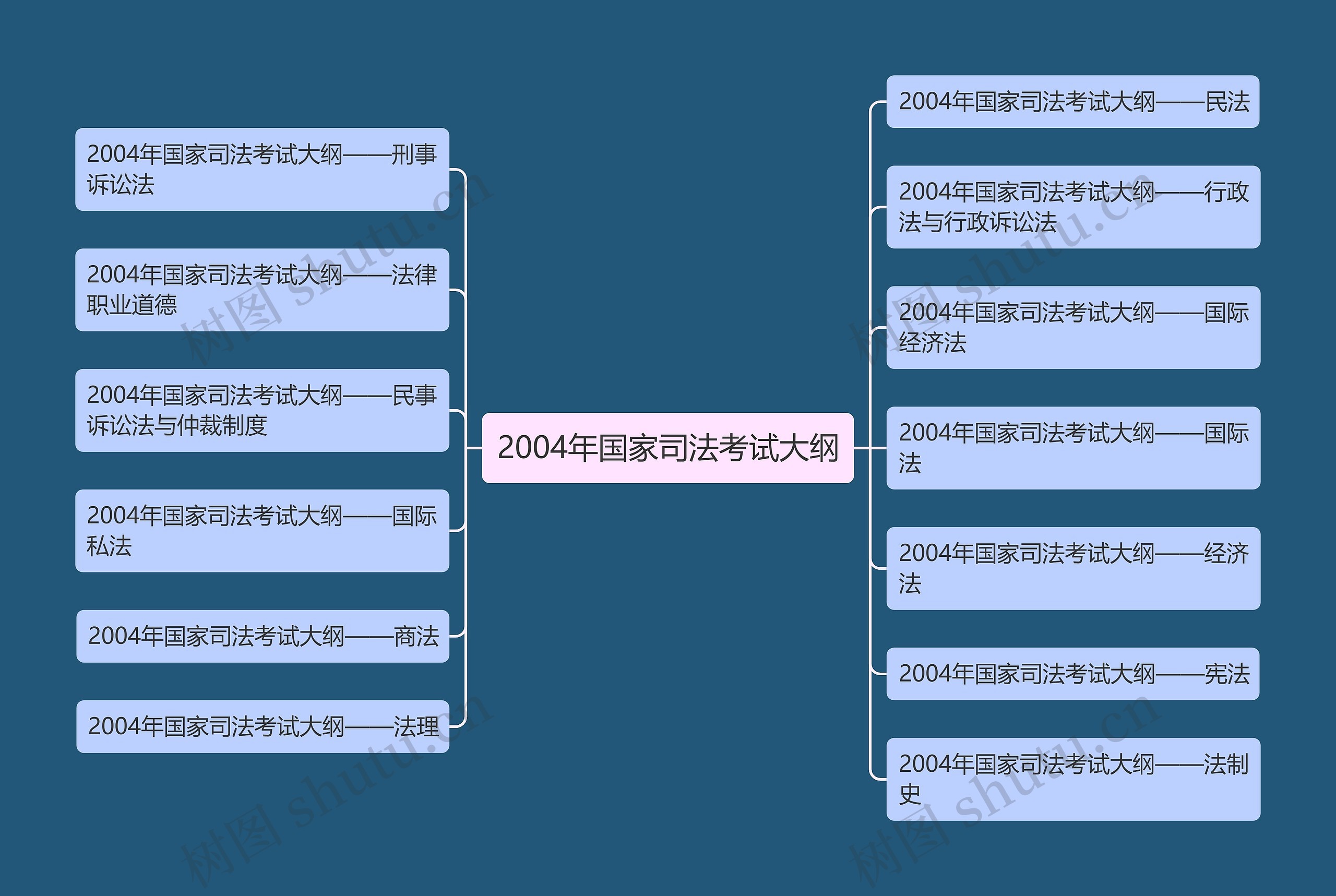 2004年国家司法考试大纲