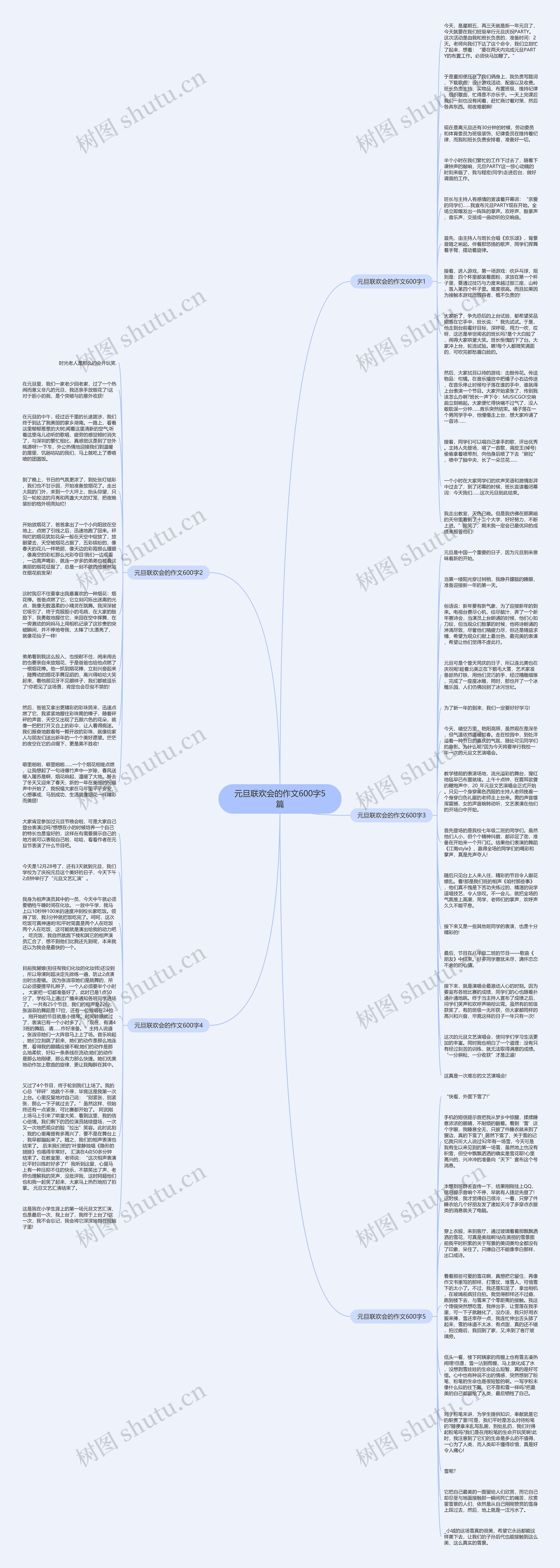 元旦联欢会的作文600字5篇思维导图