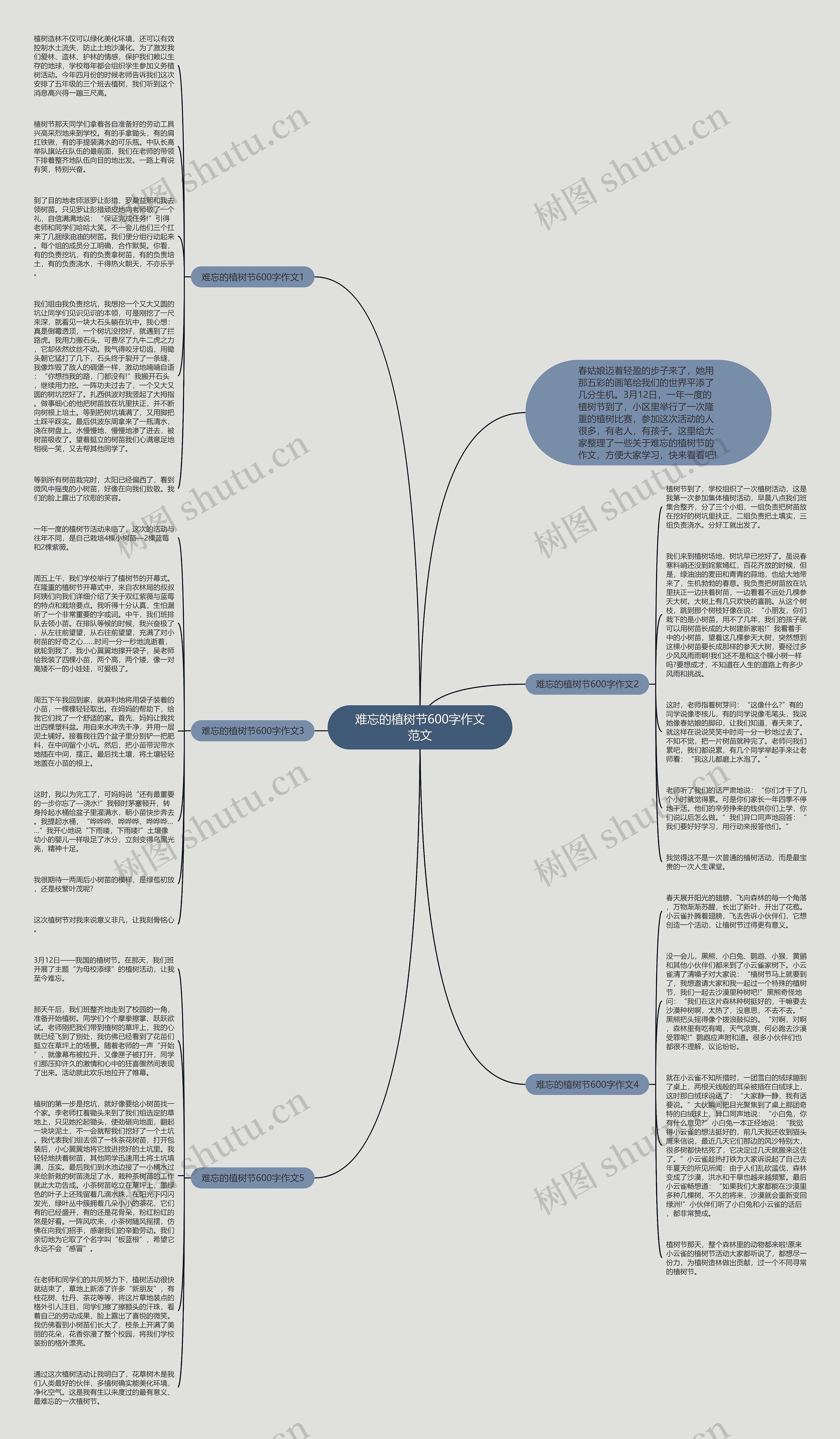 难忘的植树节600字作文范文思维导图