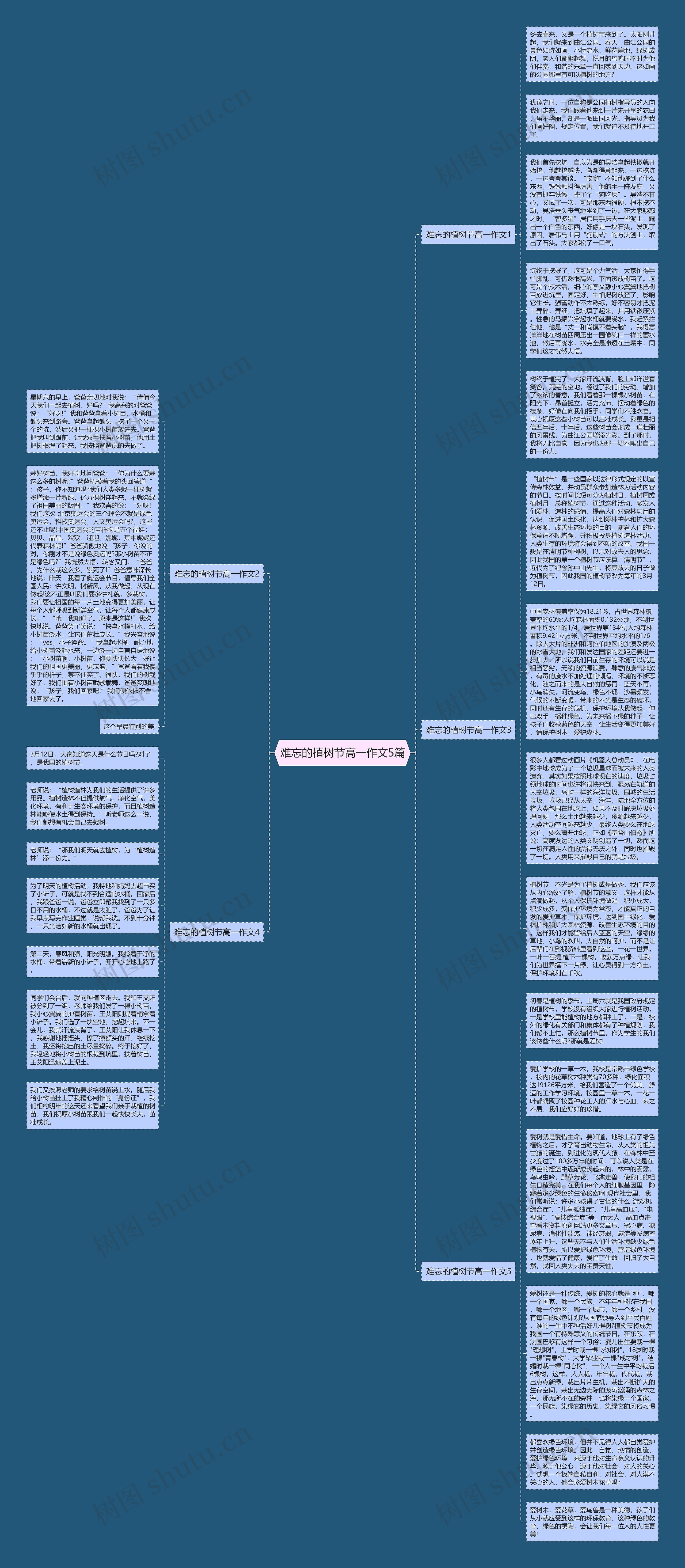 难忘的植树节高一作文5篇思维导图