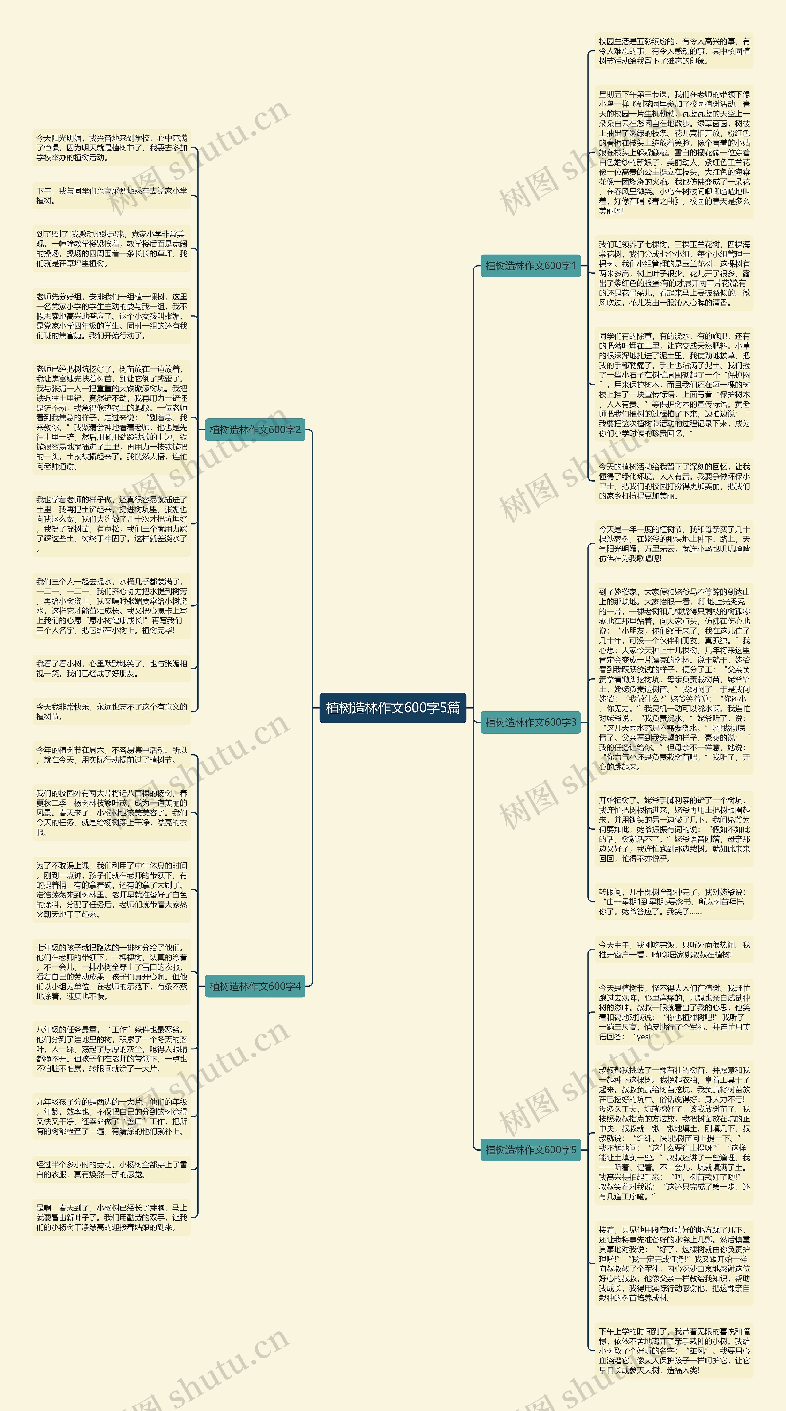 植树造林作文600字5篇思维导图