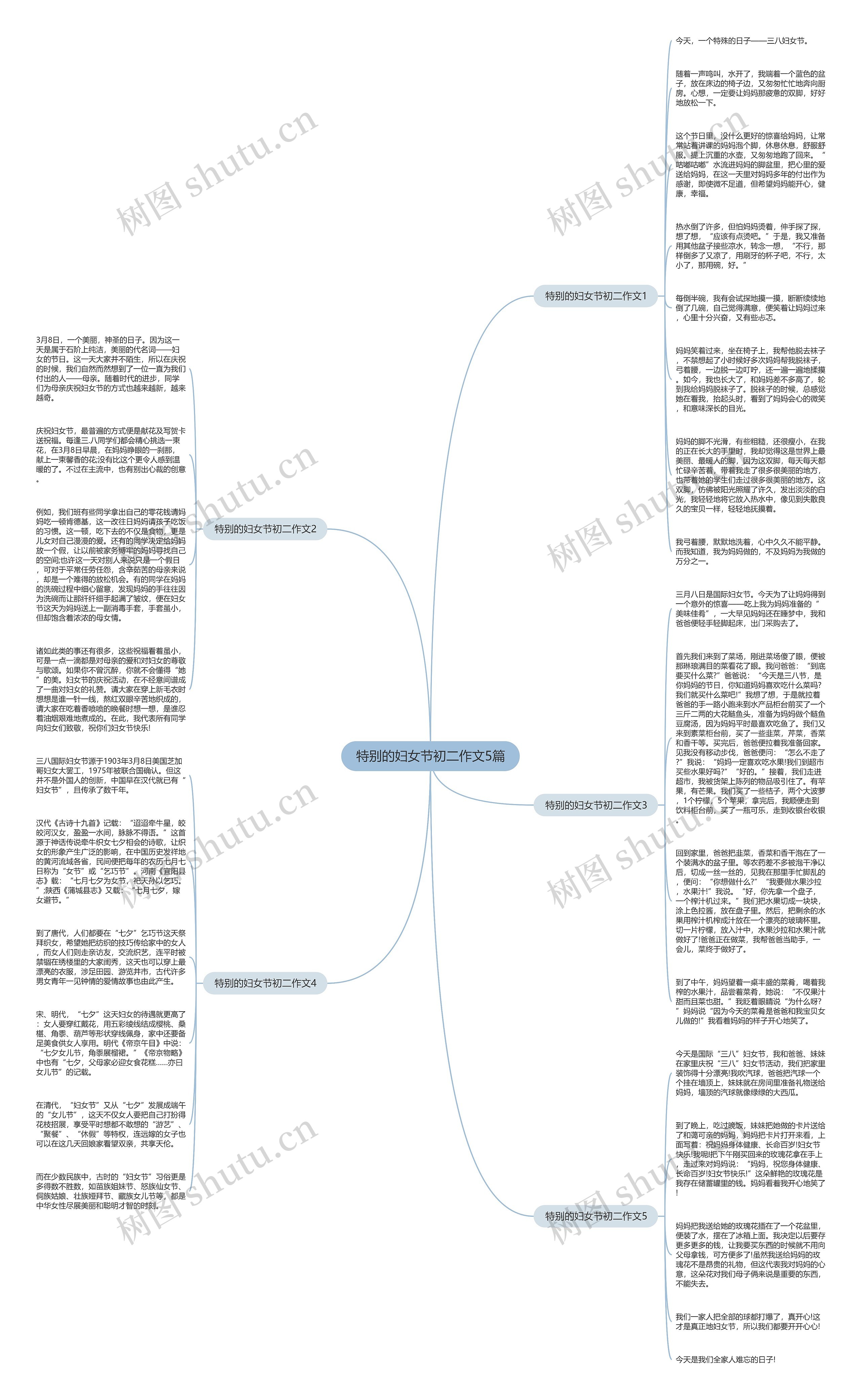 特别的妇女节初二作文5篇思维导图