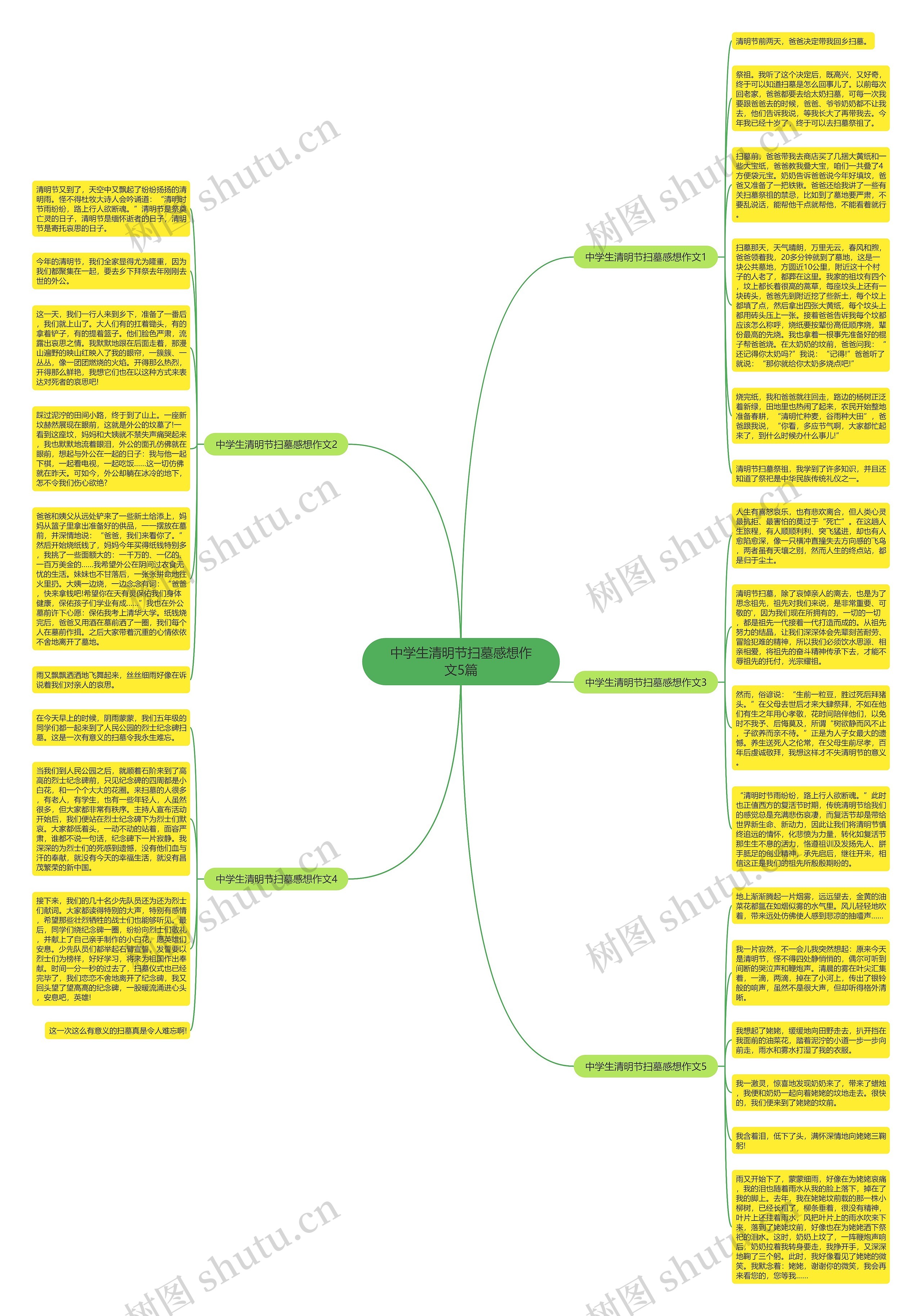 中学生清明节扫墓感想作文5篇思维导图