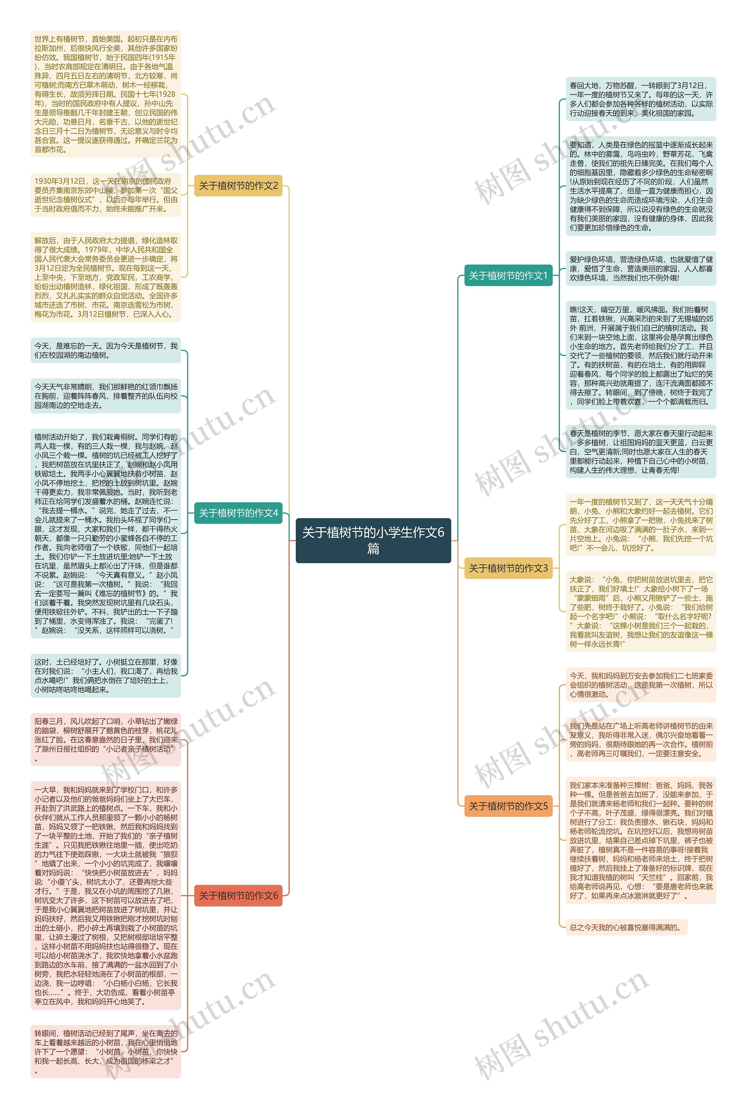 关于植树节的小学生作文6篇思维导图