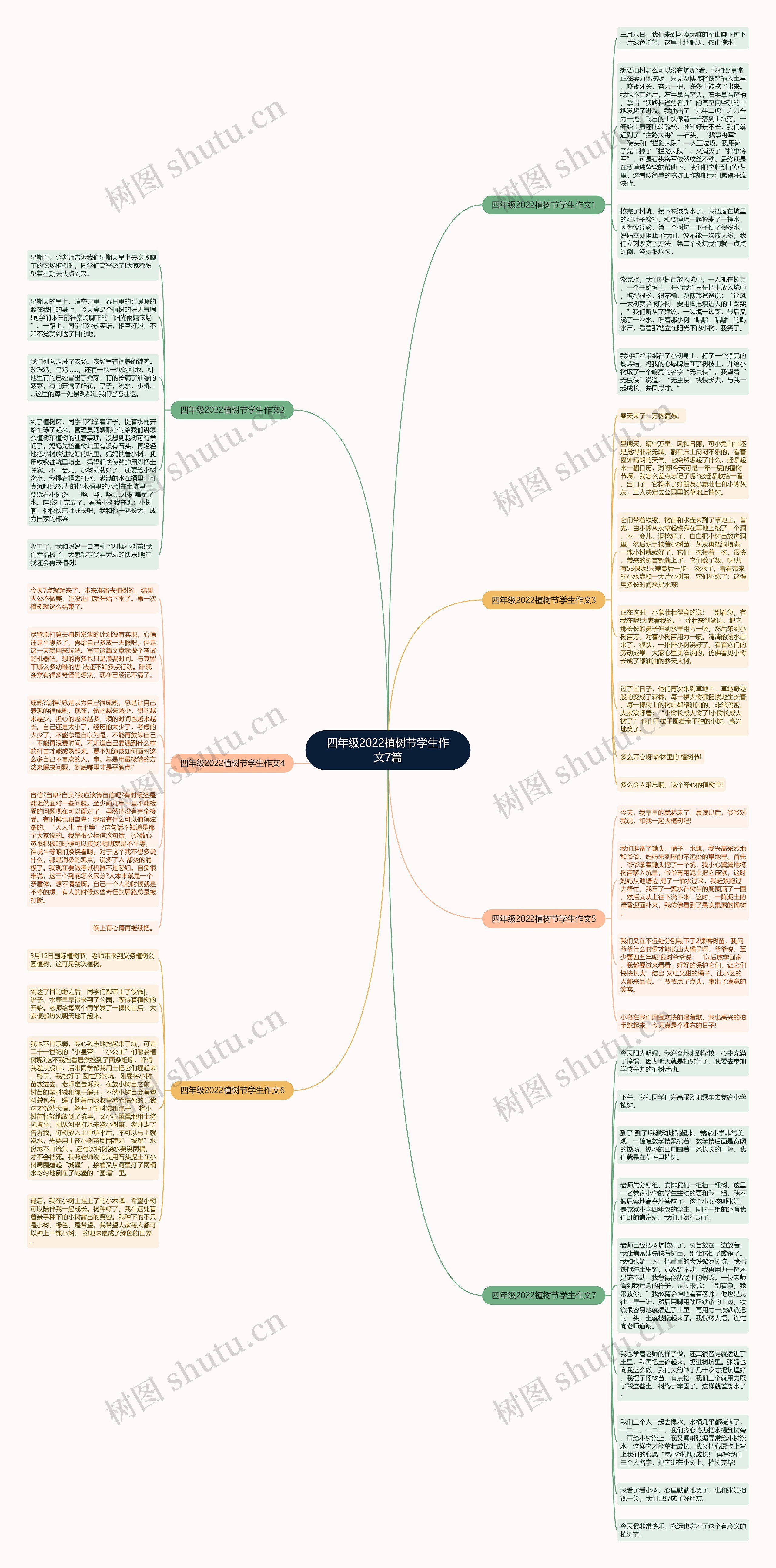 四年级2022植树节学生作文7篇思维导图
