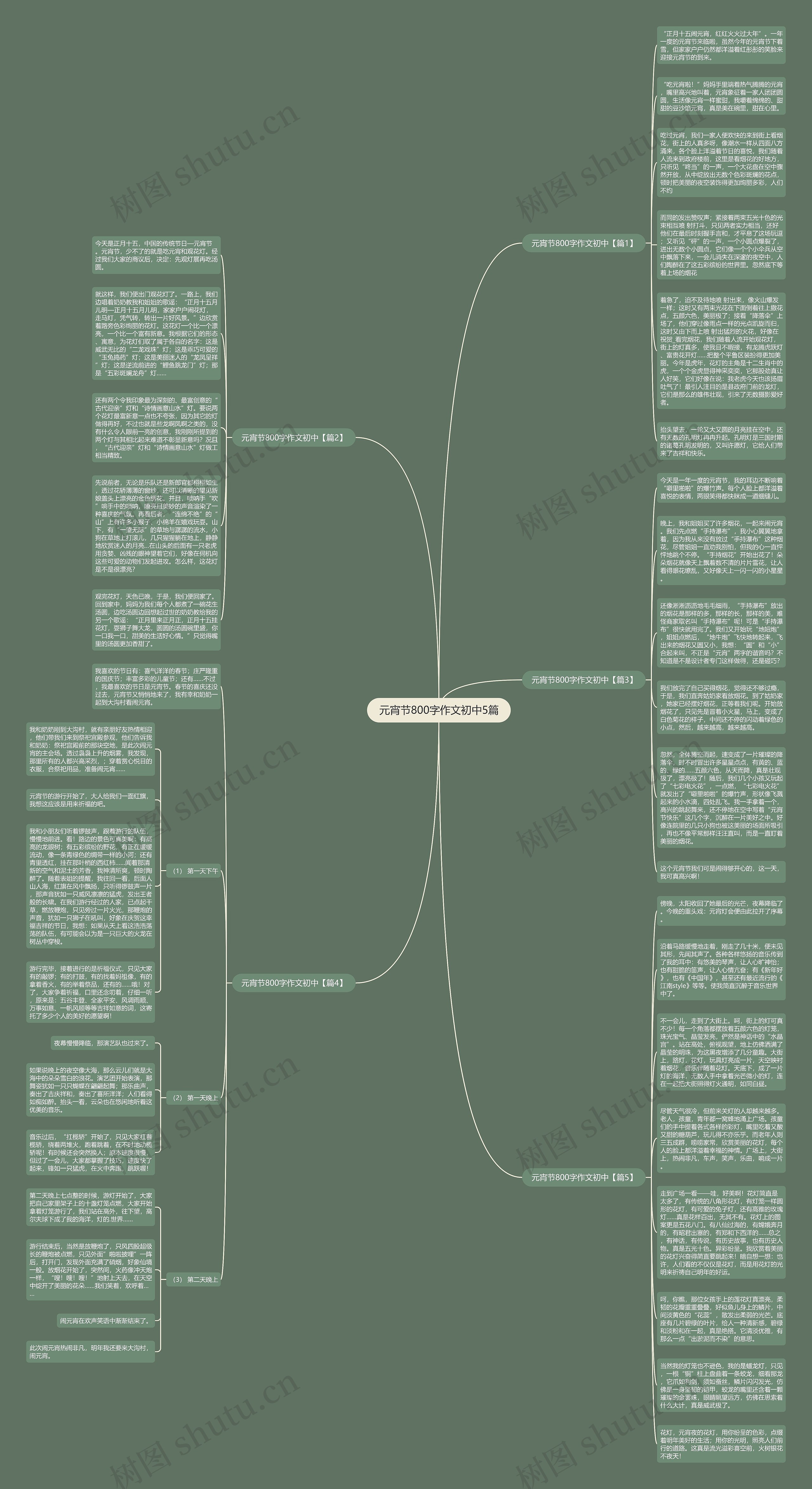 元宵节800字作文初中5篇思维导图