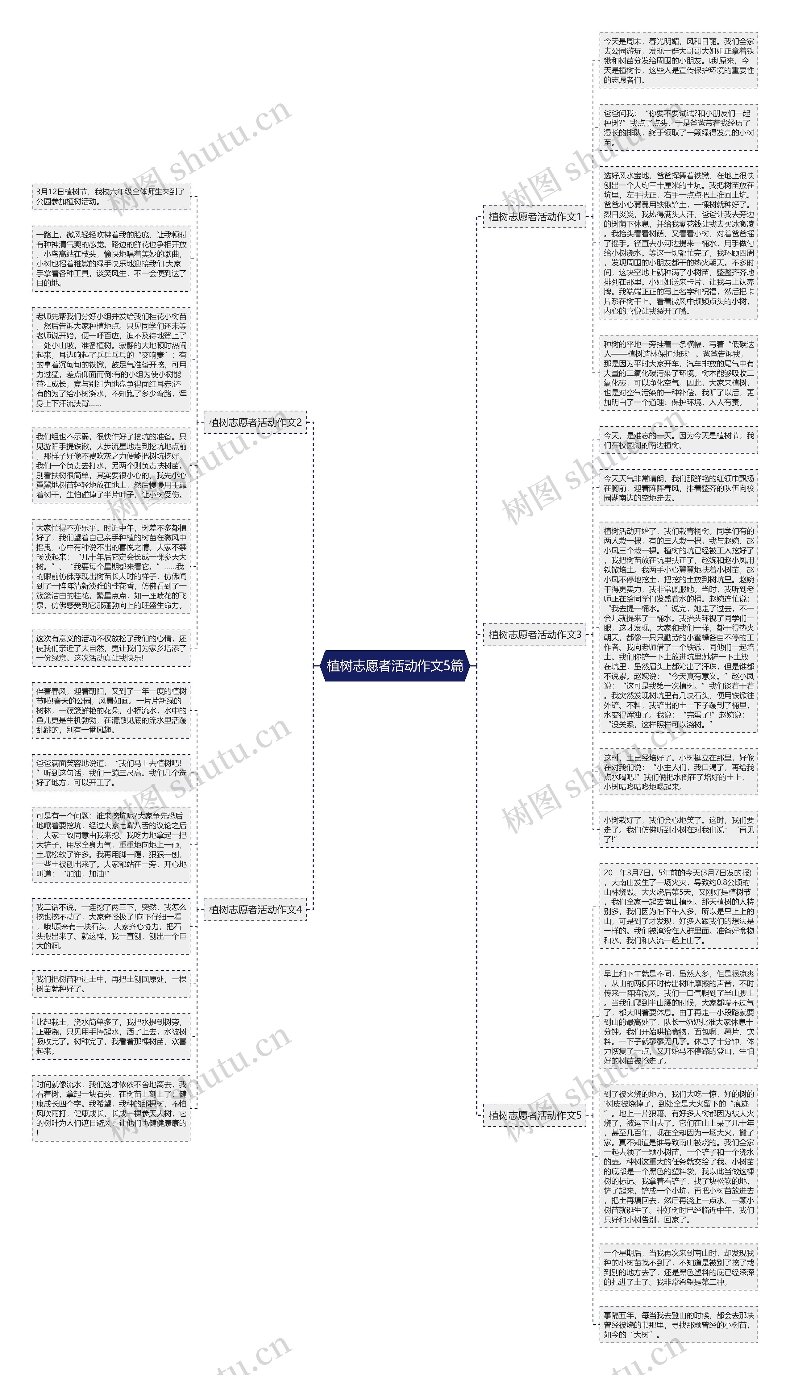 植树志愿者活动作文5篇思维导图