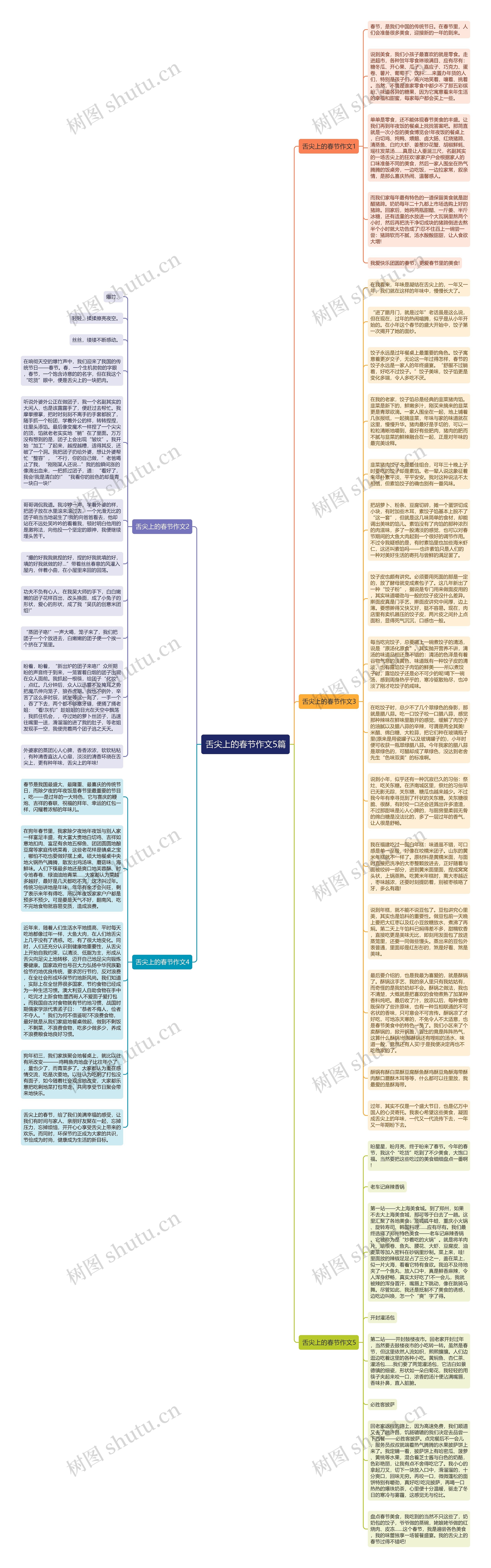 舌尖上的春节作文5篇思维导图