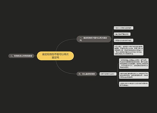 鉴定轻微伤不服可以再次鉴定吗