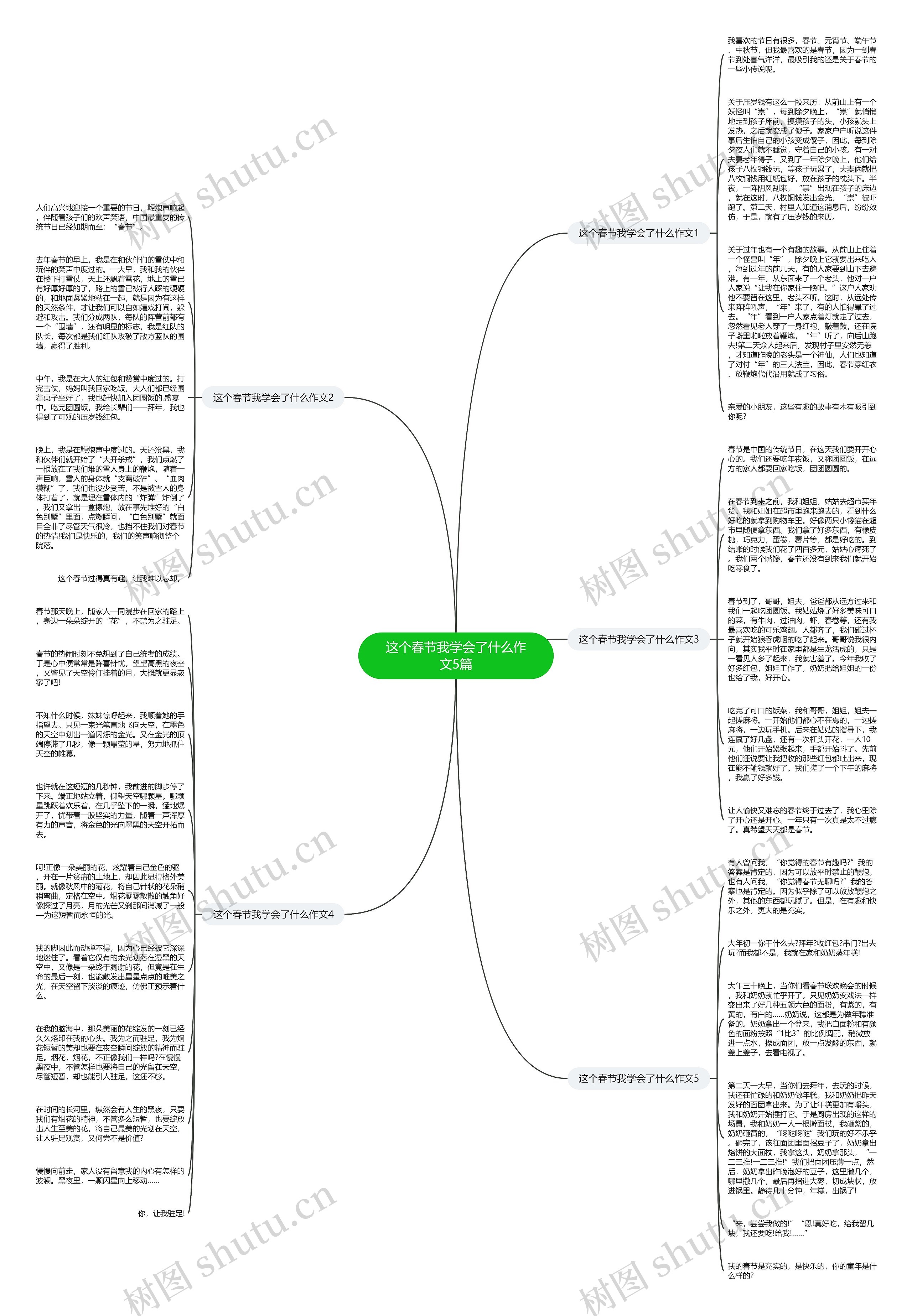 这个春节我学会了什么作文5篇思维导图