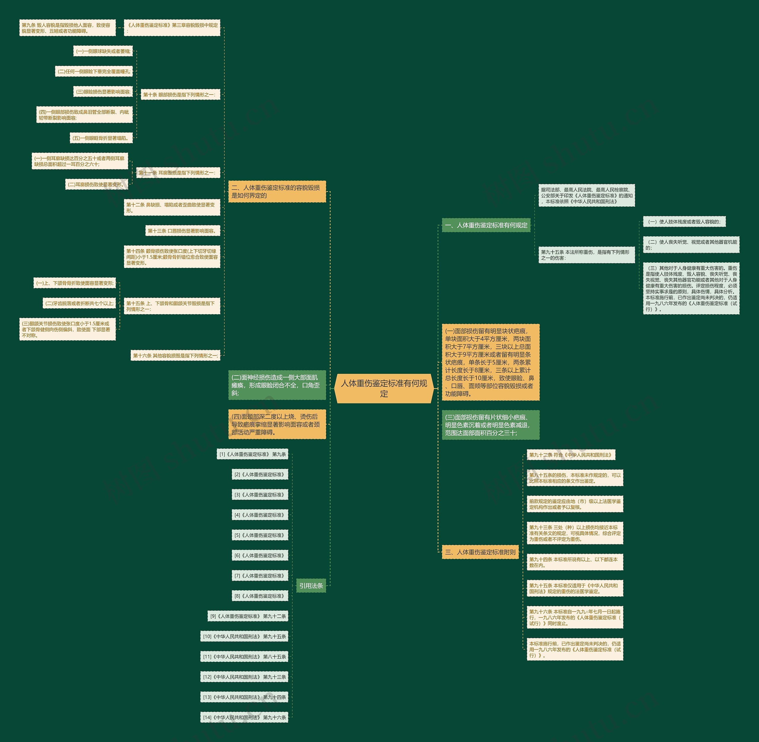 人体重伤鉴定标准有何规定思维导图