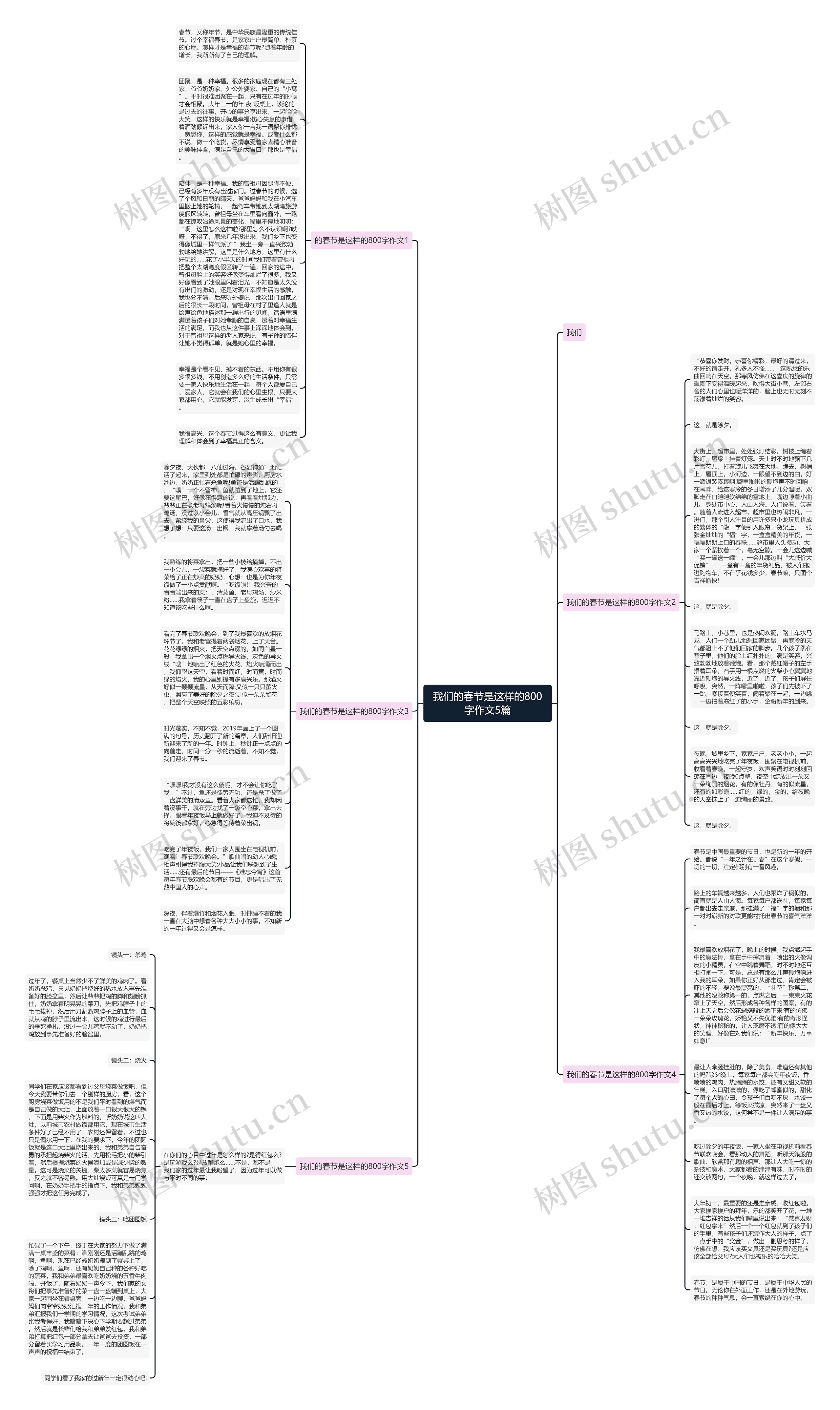 我们的春节是这样的800字作文5篇思维导图