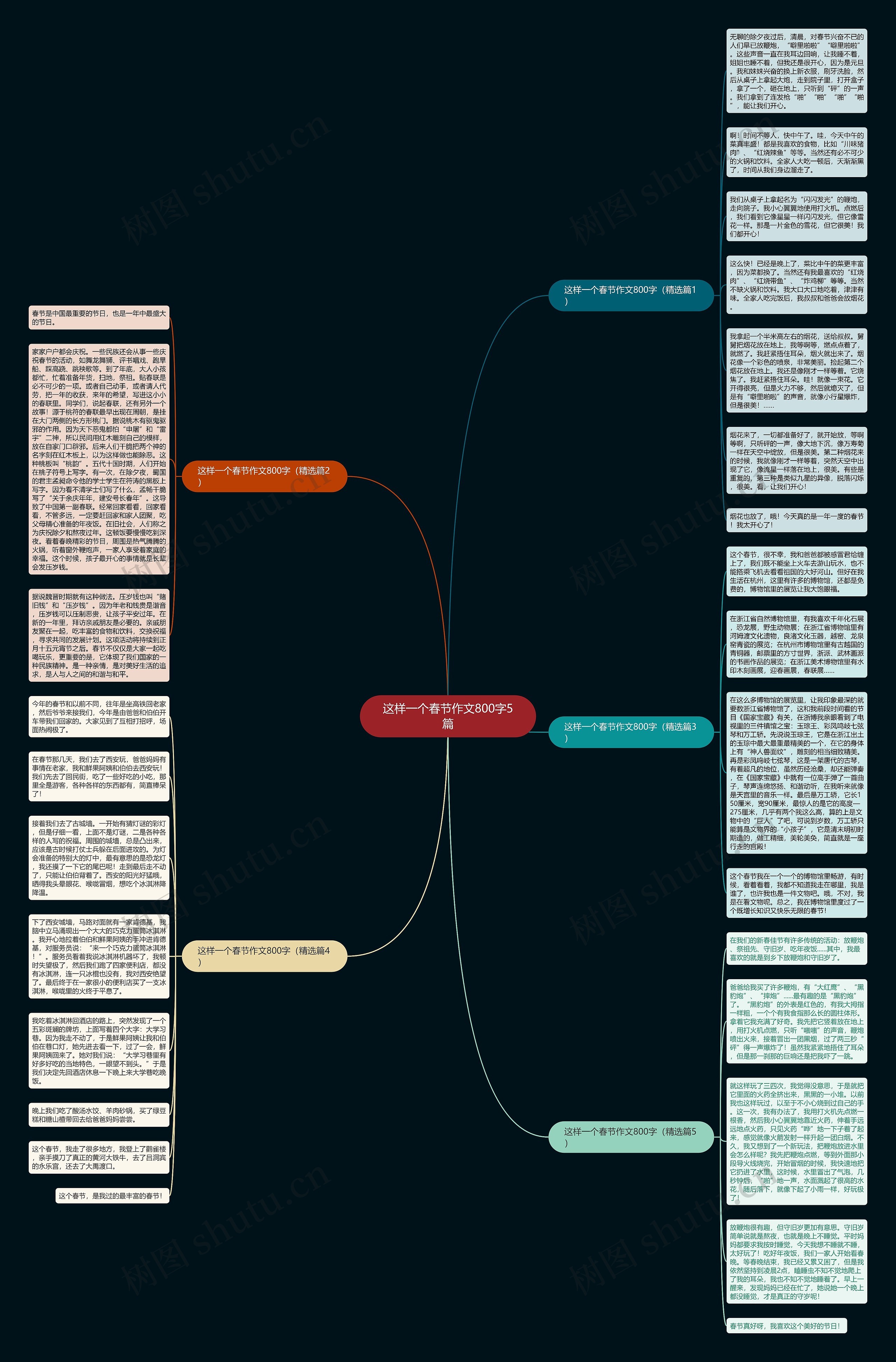 这样一个春节作文800字5篇思维导图