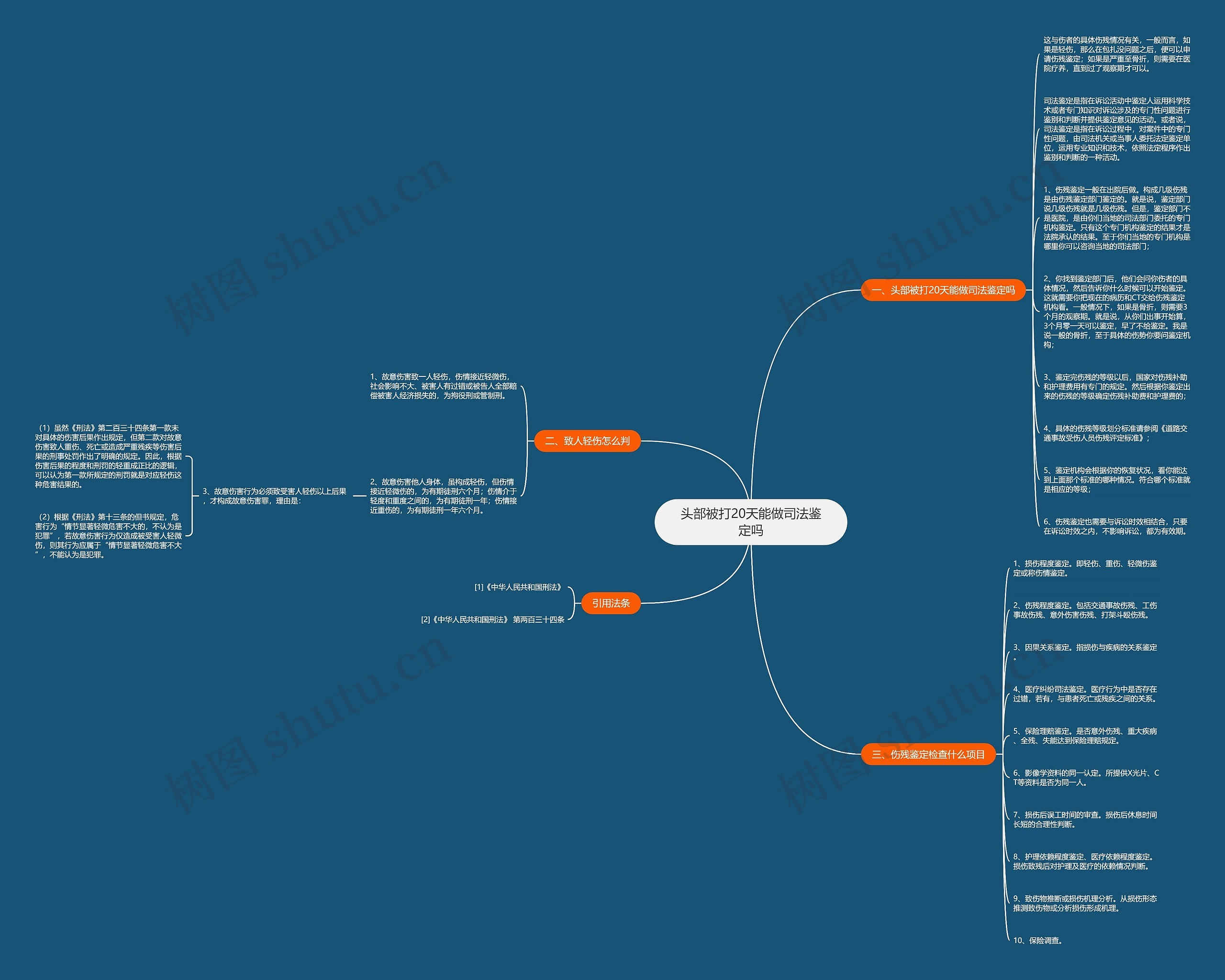 头部被打20天能做司法鉴定吗思维导图