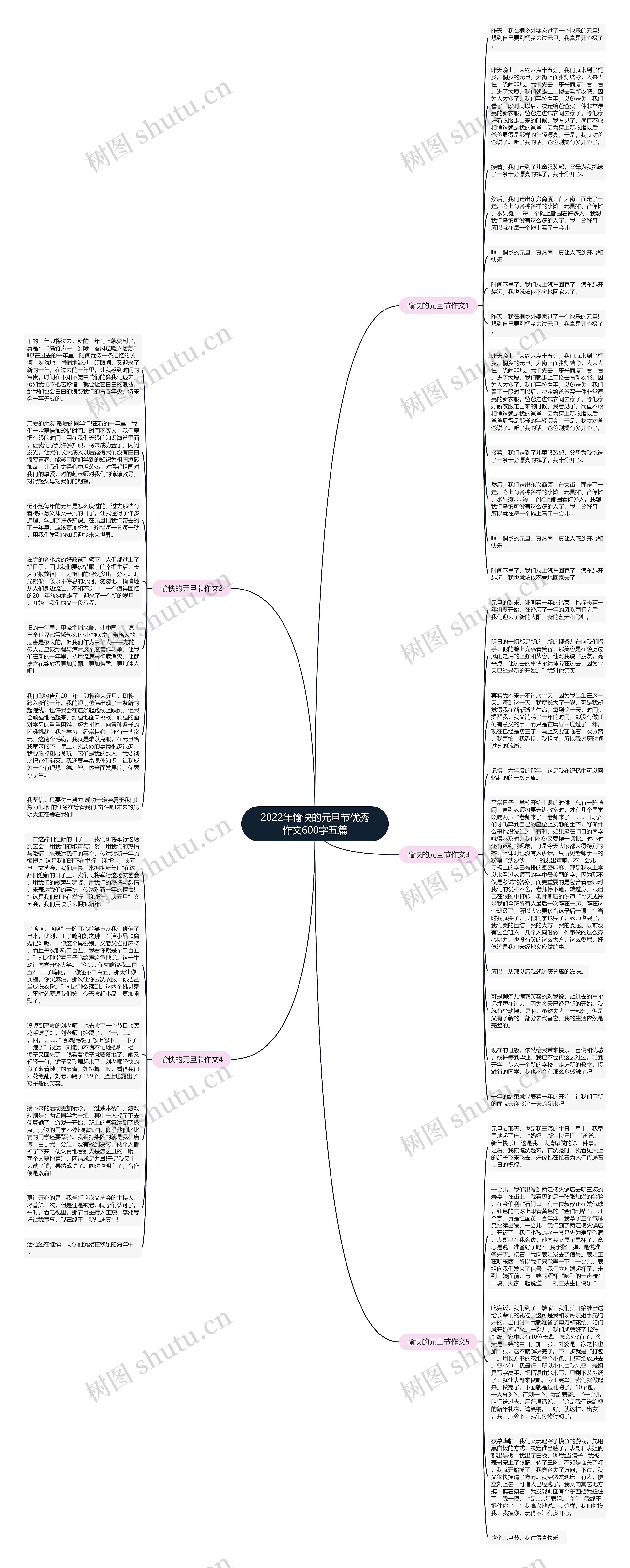 2022年愉快的元旦节优秀作文600字五篇思维导图