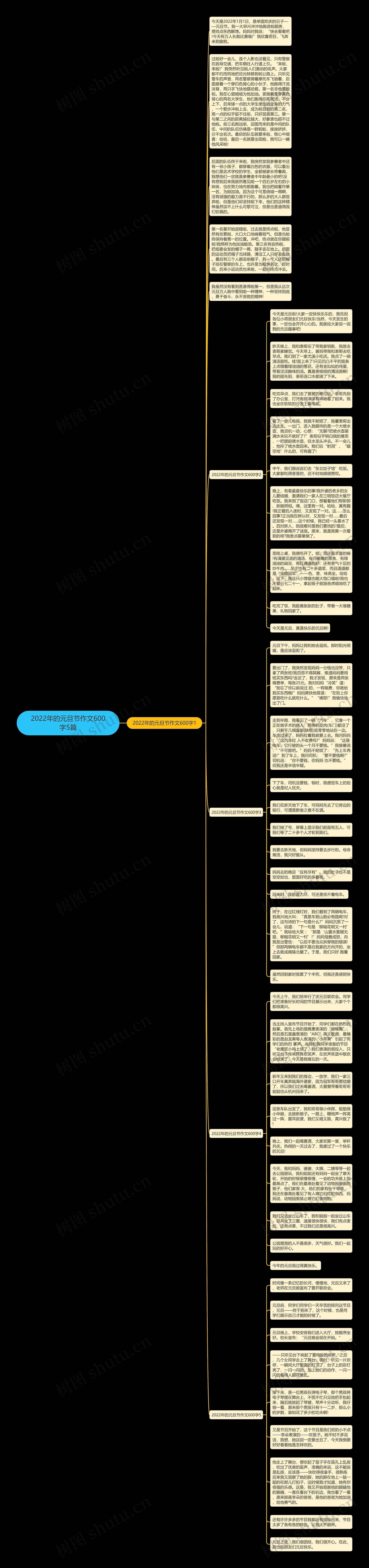 2022年的元旦节作文600字5篇思维导图