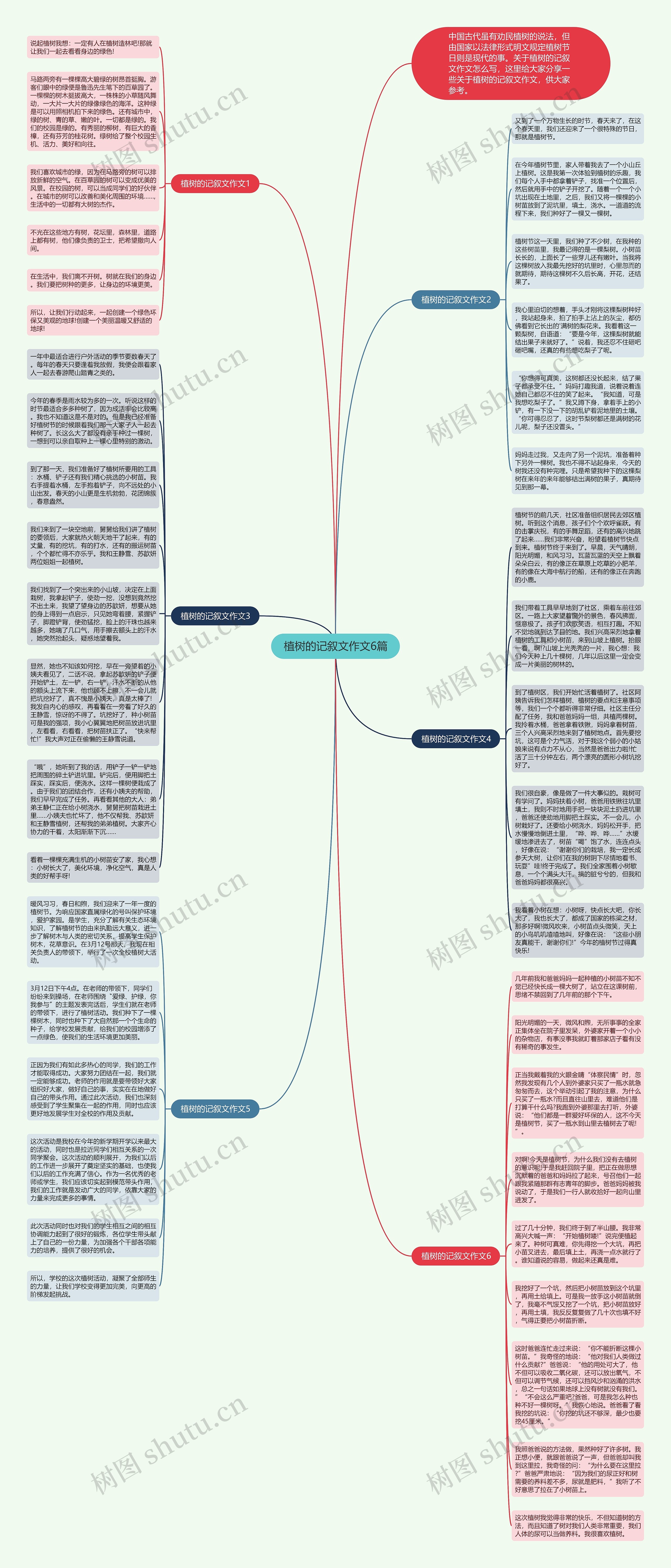 植树的记叙文作文6篇思维导图
