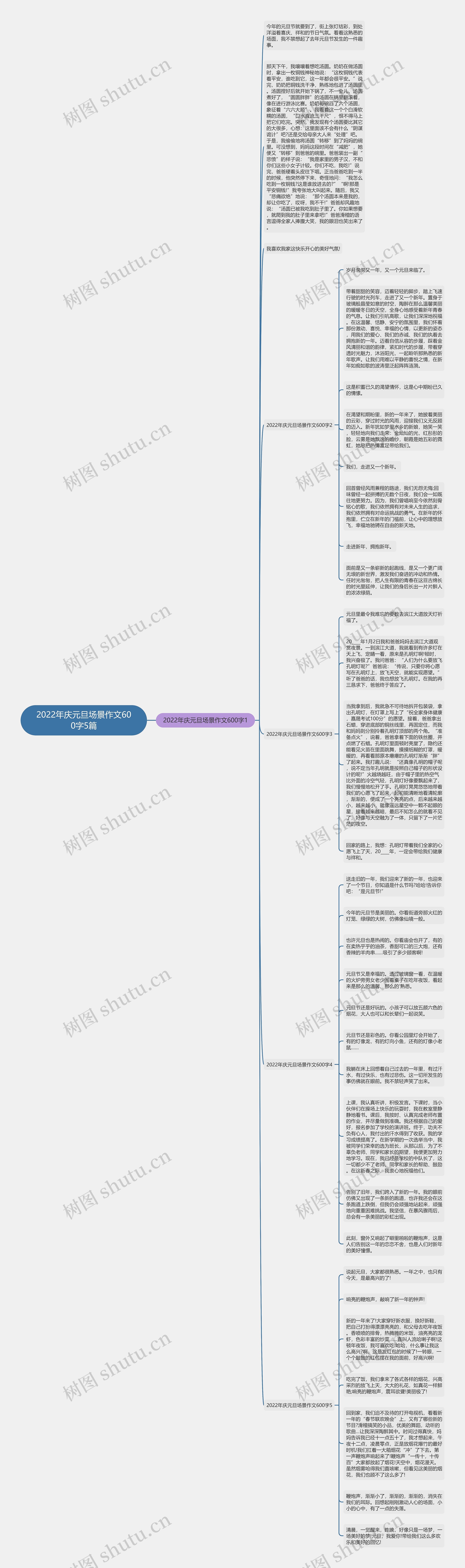 2022年庆元旦场景作文600字5篇思维导图