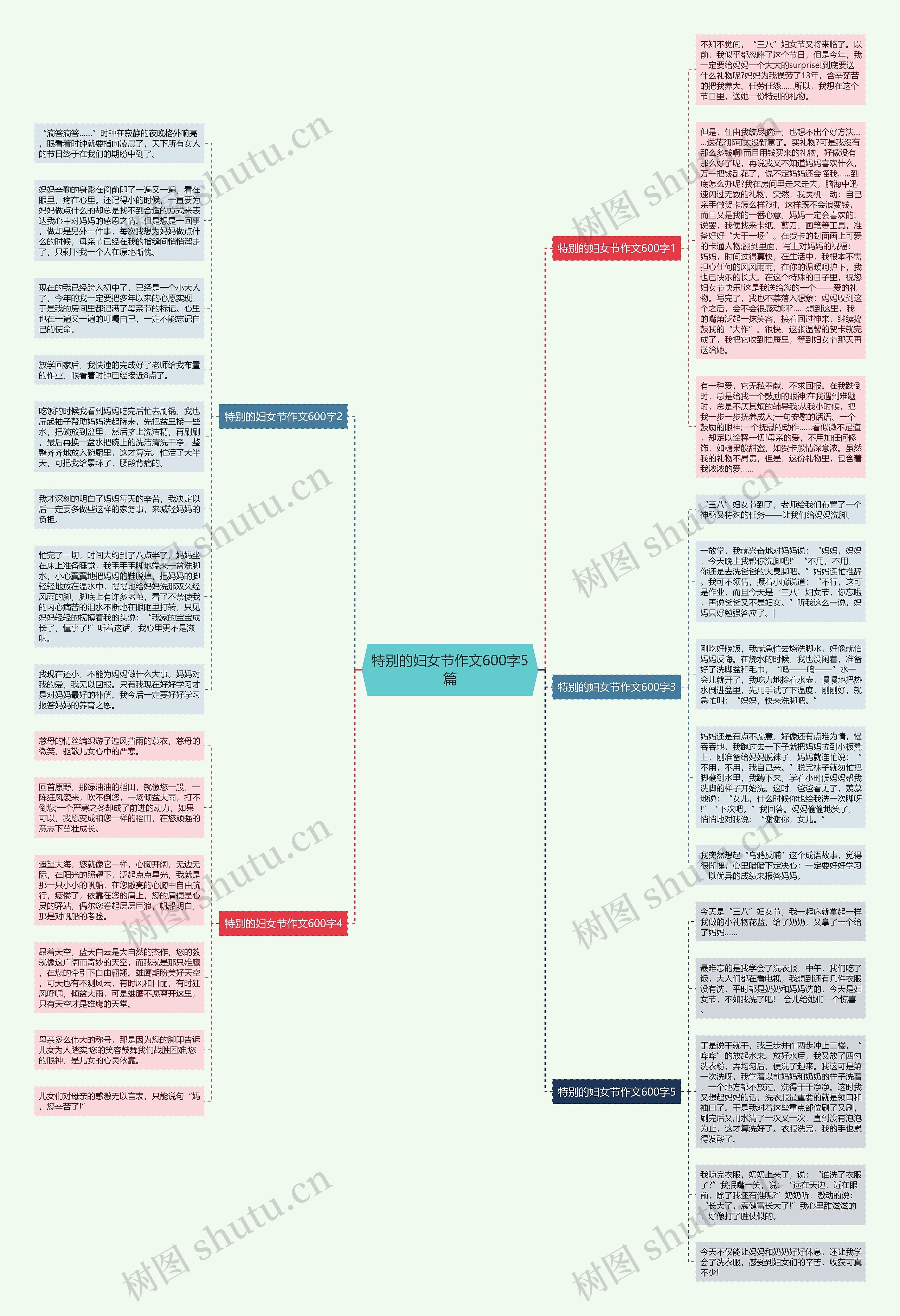 特别的妇女节作文600字5篇思维导图