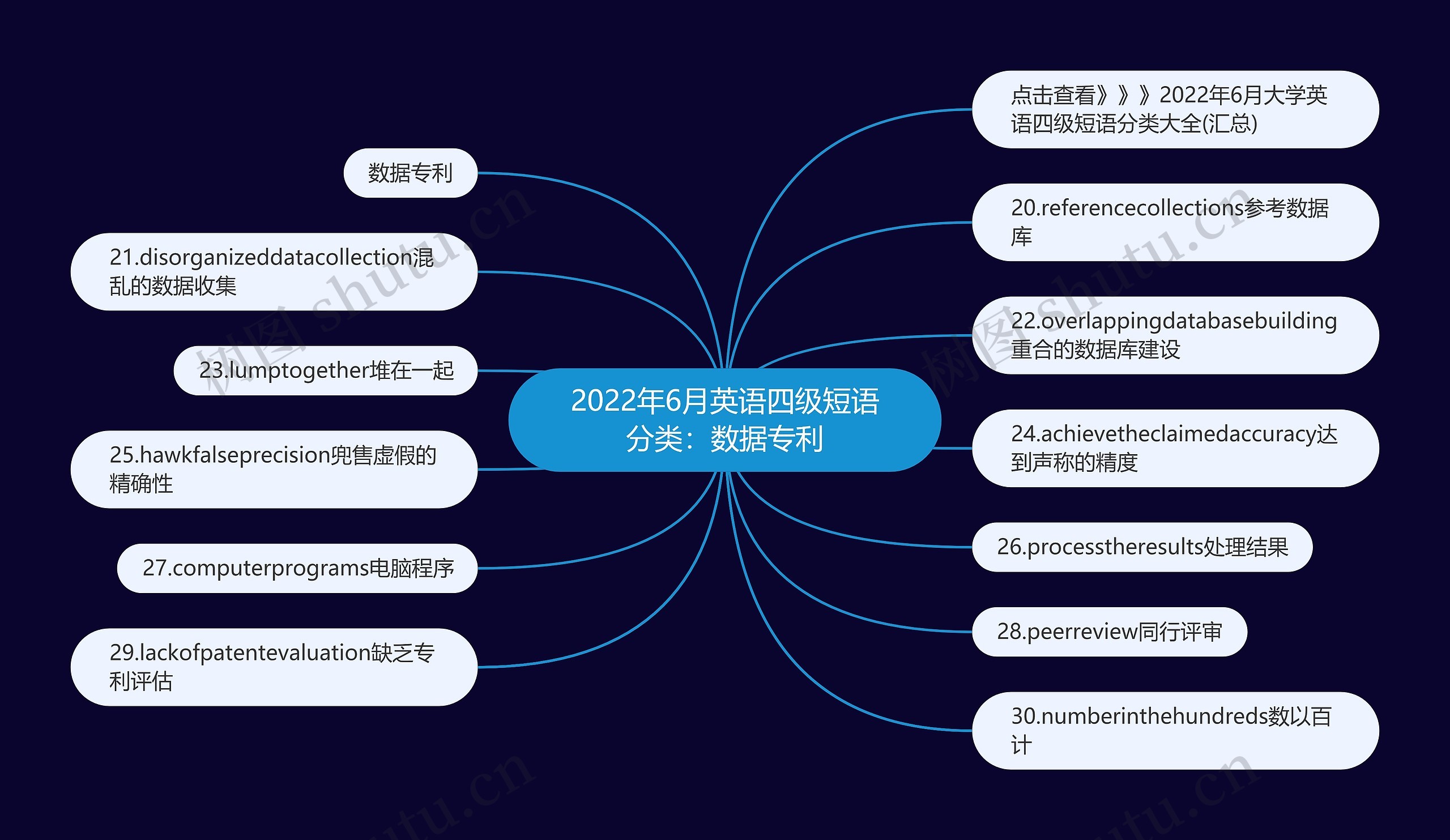 2022年6月英语四级短语分类：数据专利