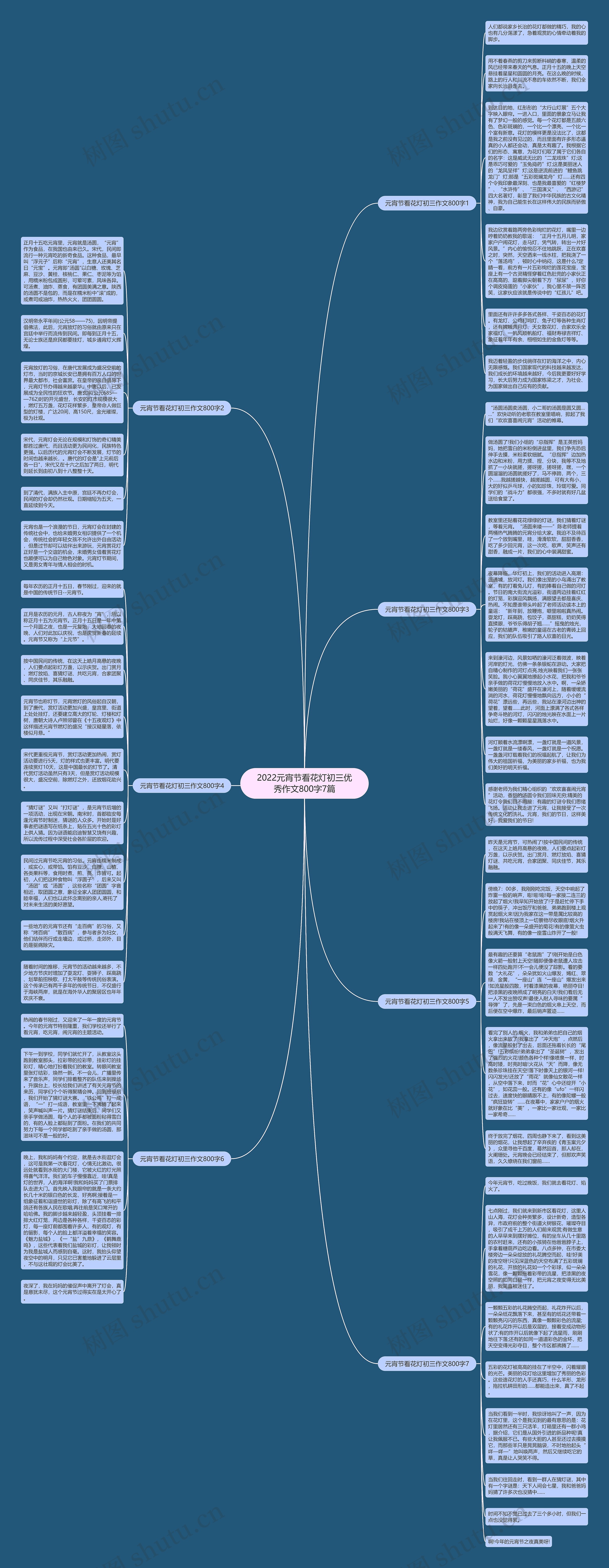 2022元宵节看花灯初三优秀作文800字7篇思维导图