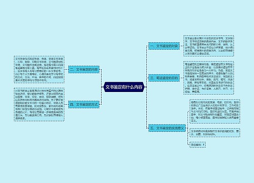 文书鉴定有什么内容