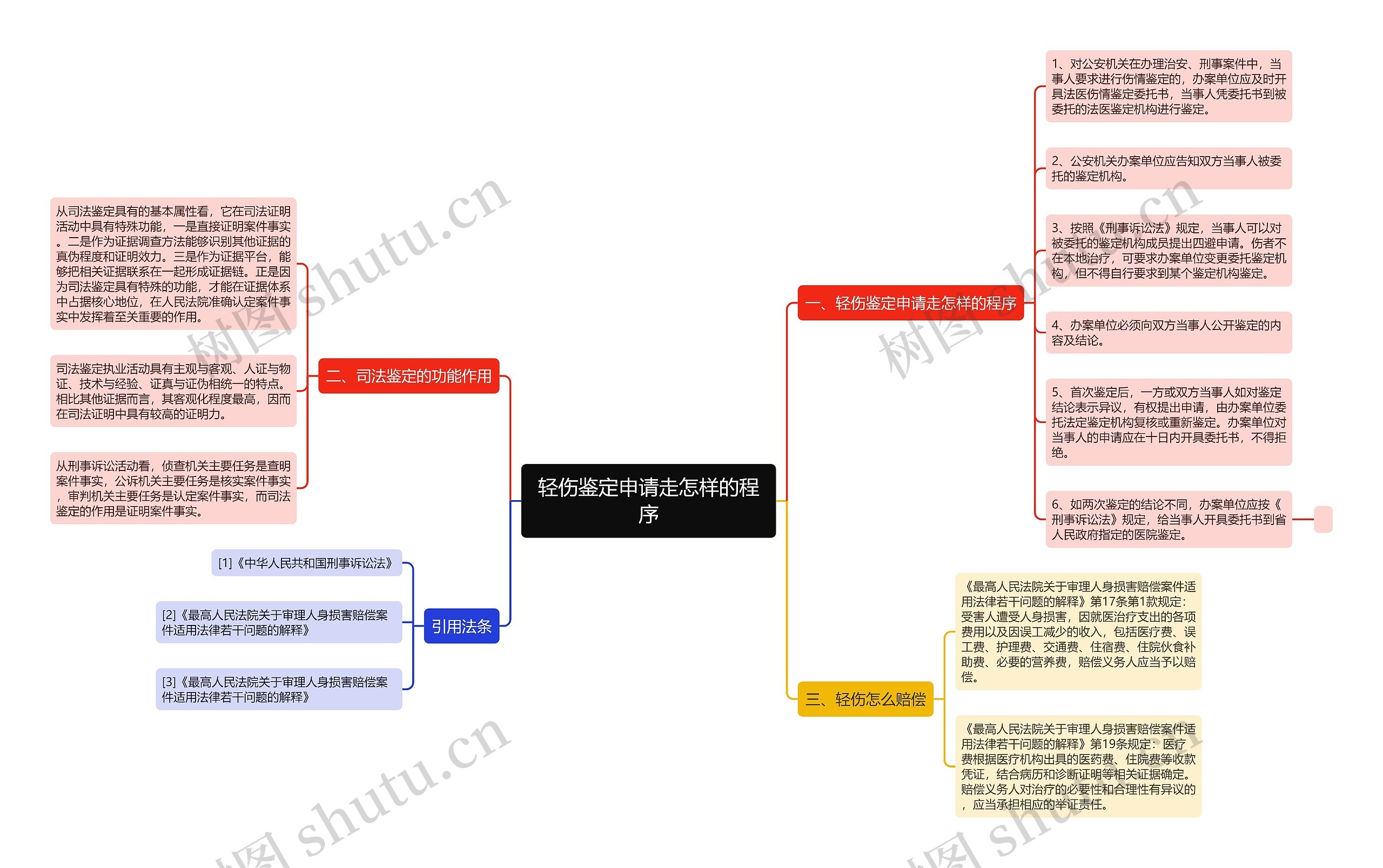 轻伤鉴定申请走怎样的程序思维导图