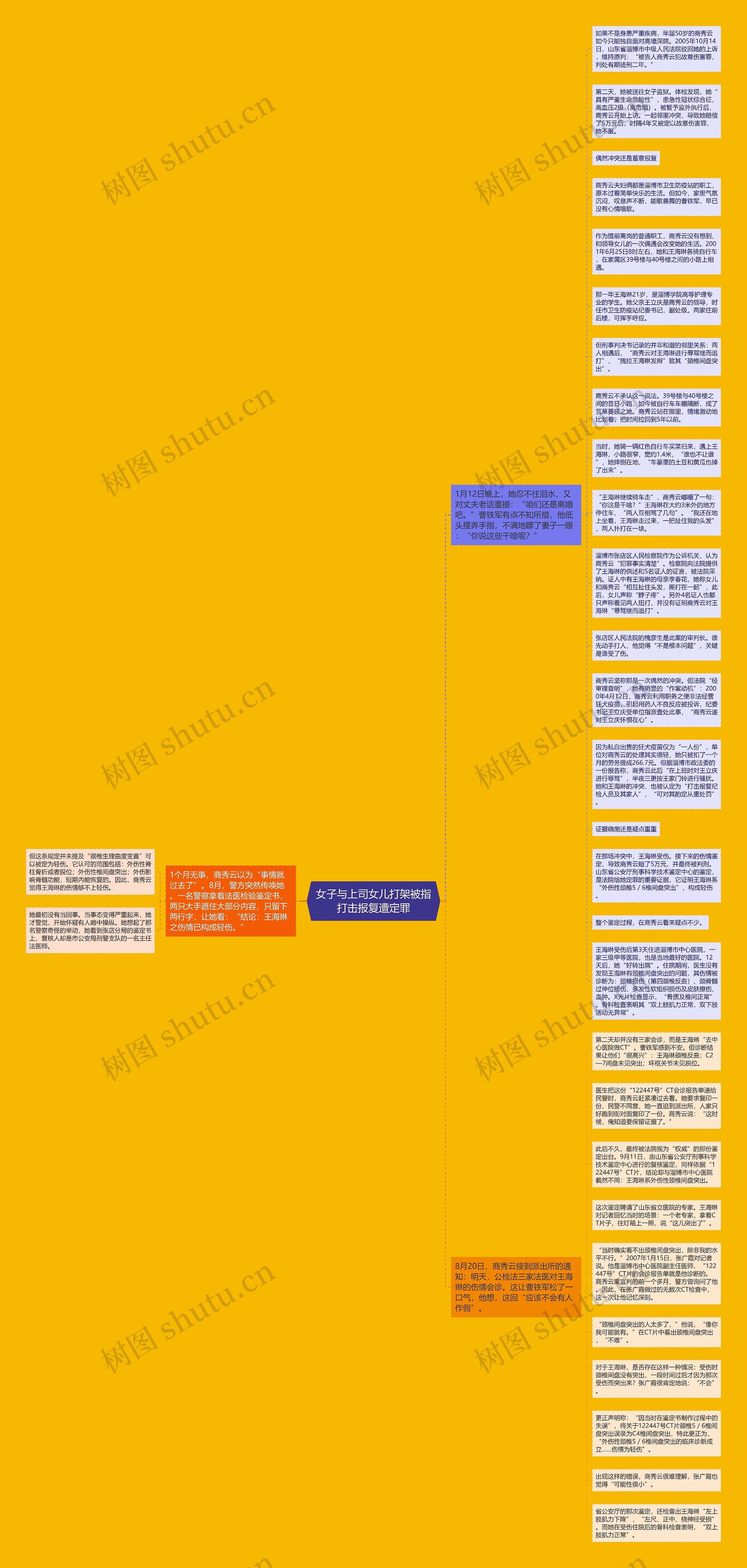 女子与上司女儿打架被指打击报复遭定罪思维导图