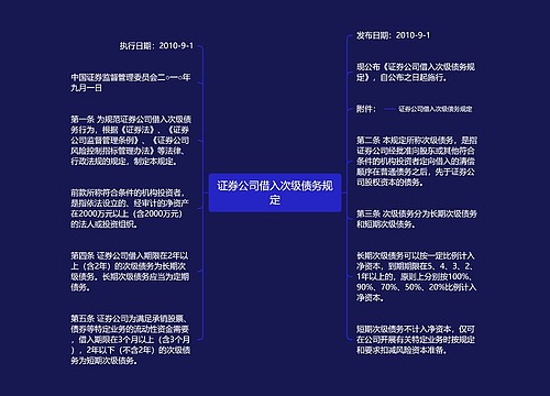 证券公司借入次级债务规定