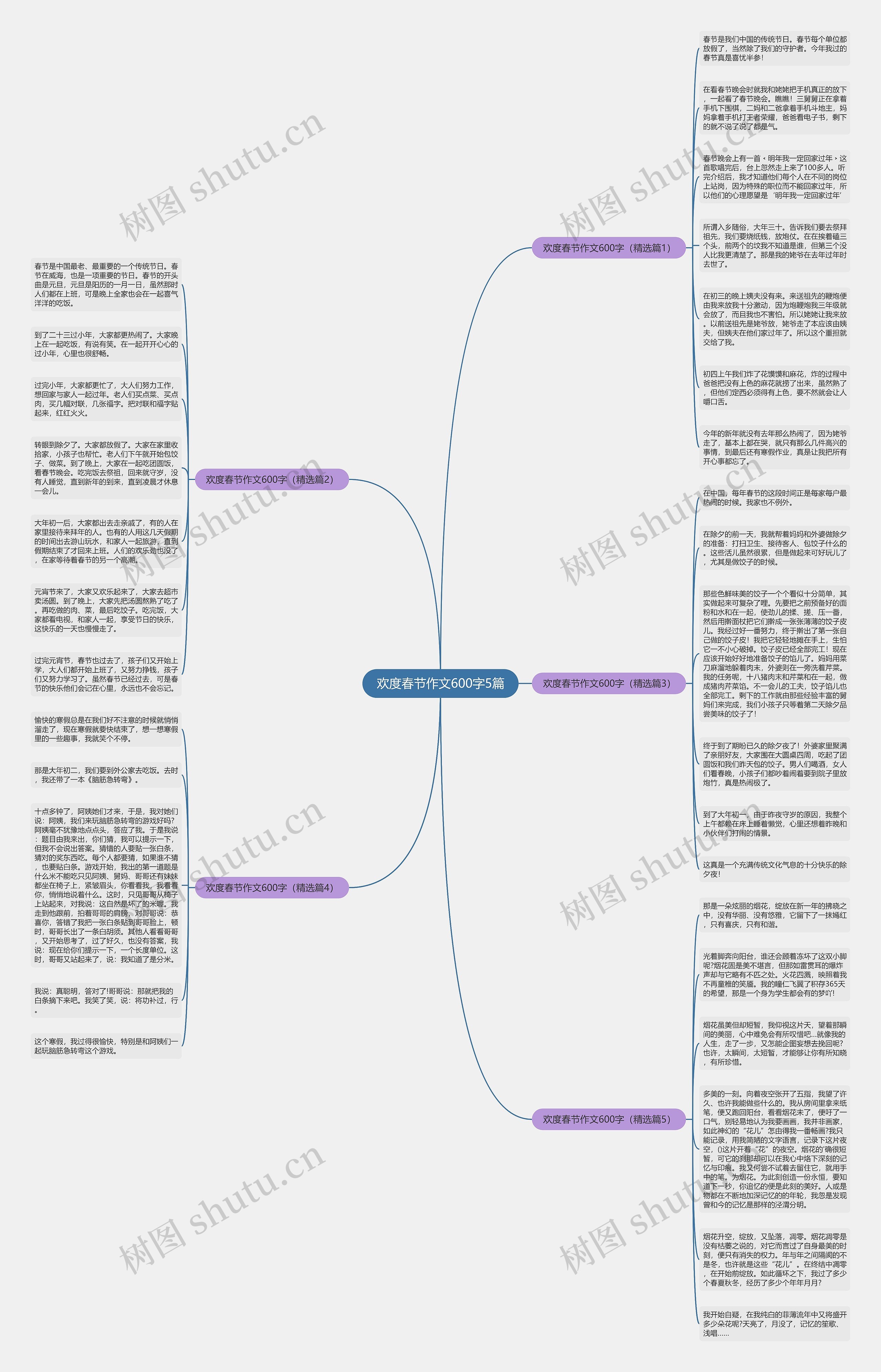 欢度春节作文600字5篇思维导图