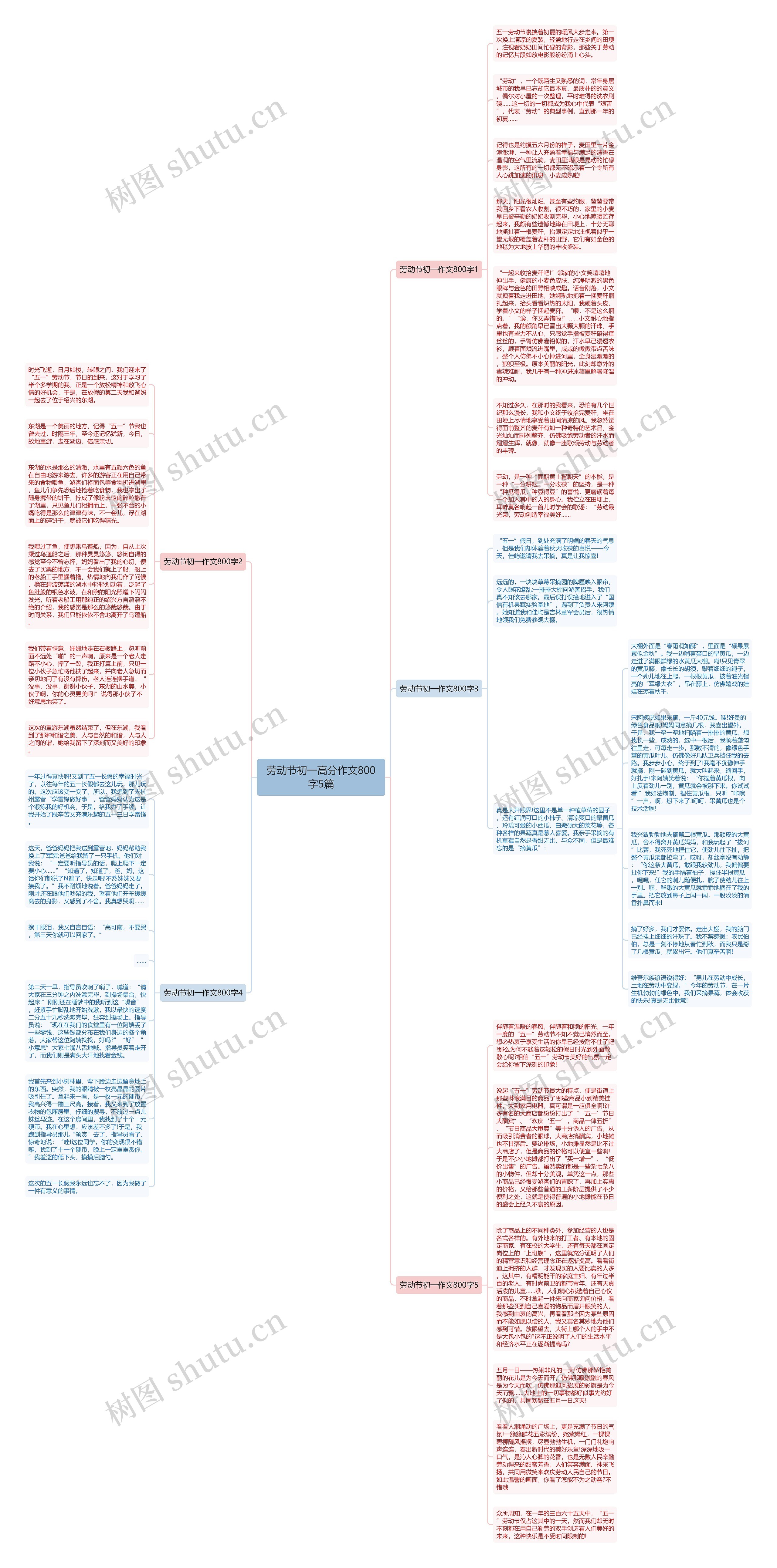 劳动节初一高分作文800字5篇思维导图