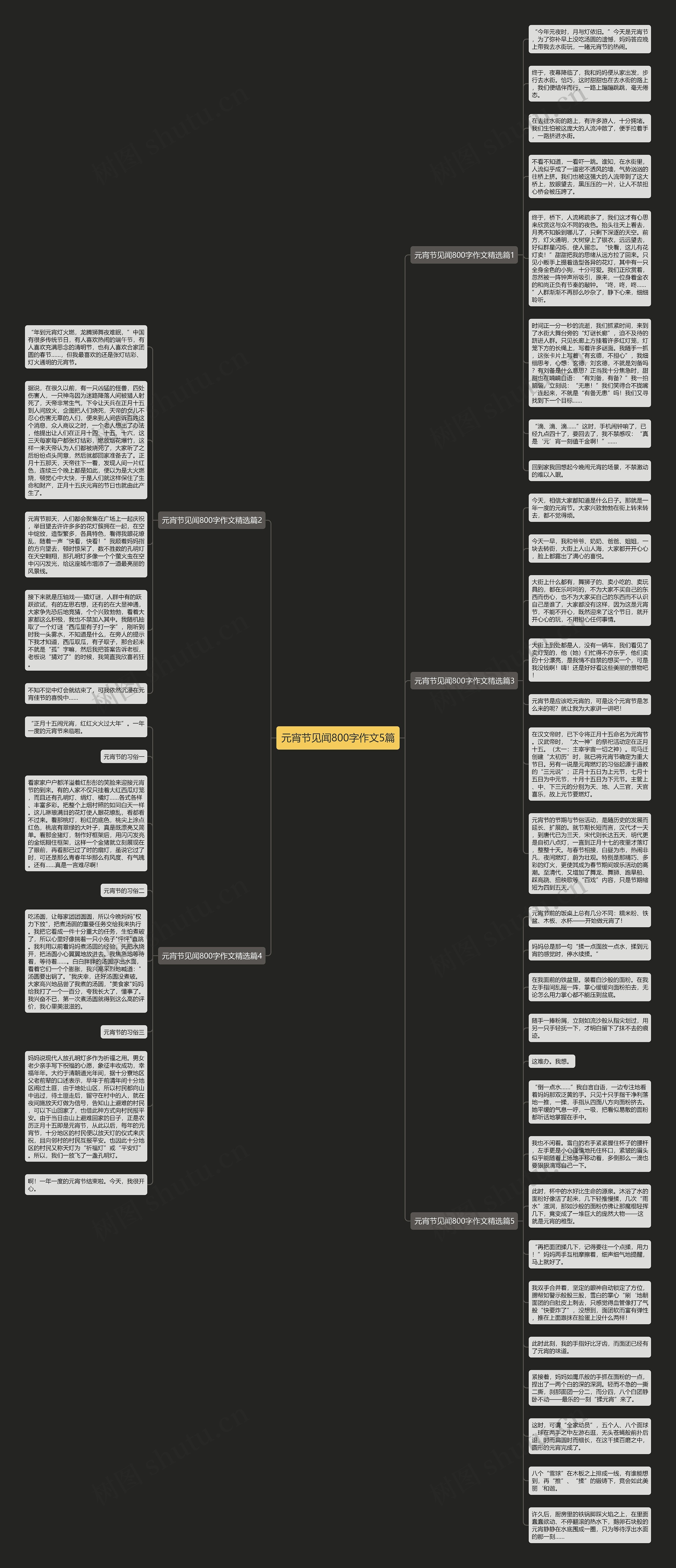 元宵节见闻800字作文5篇思维导图
