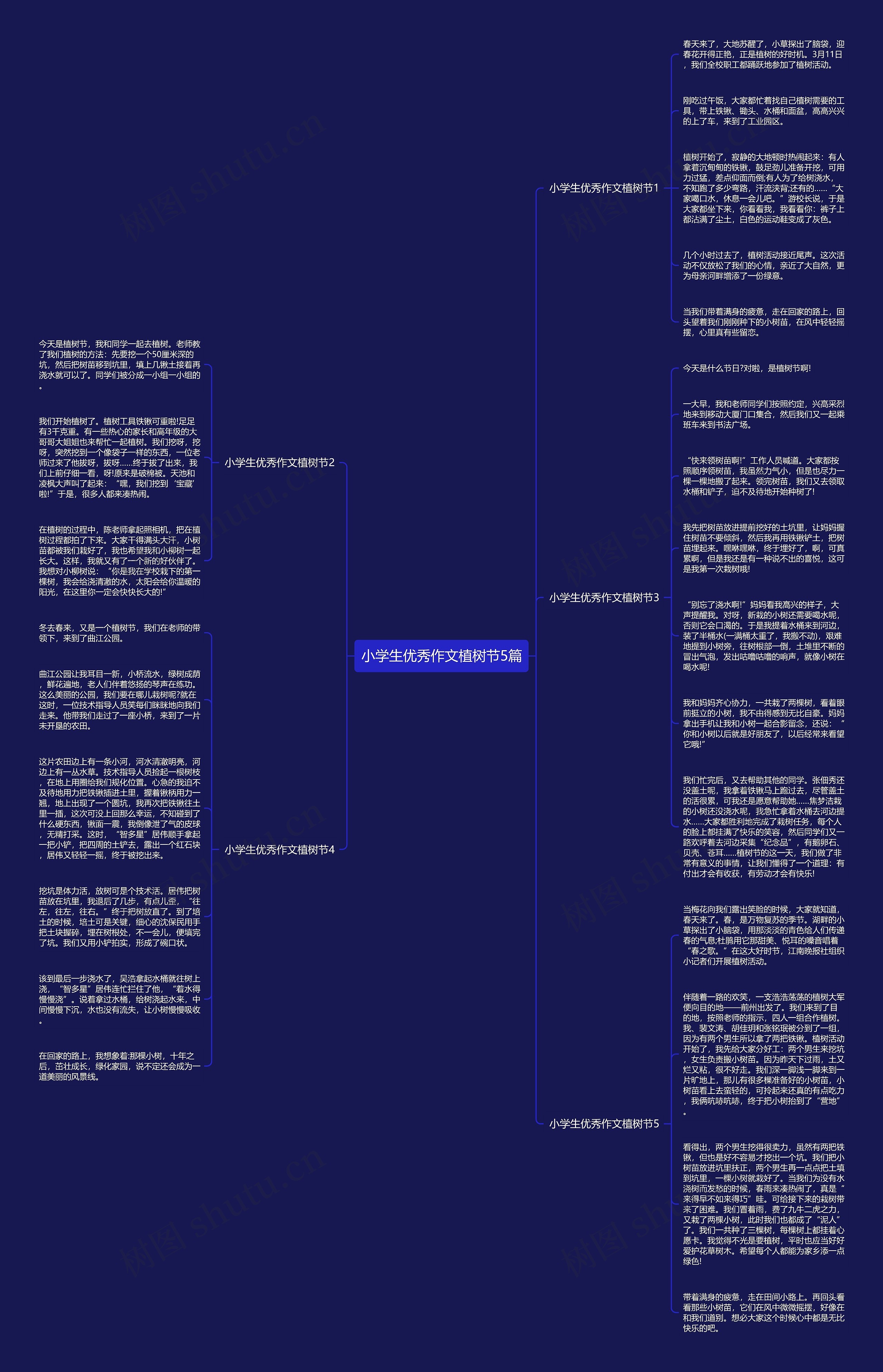 小学生优秀作文植树节5篇思维导图